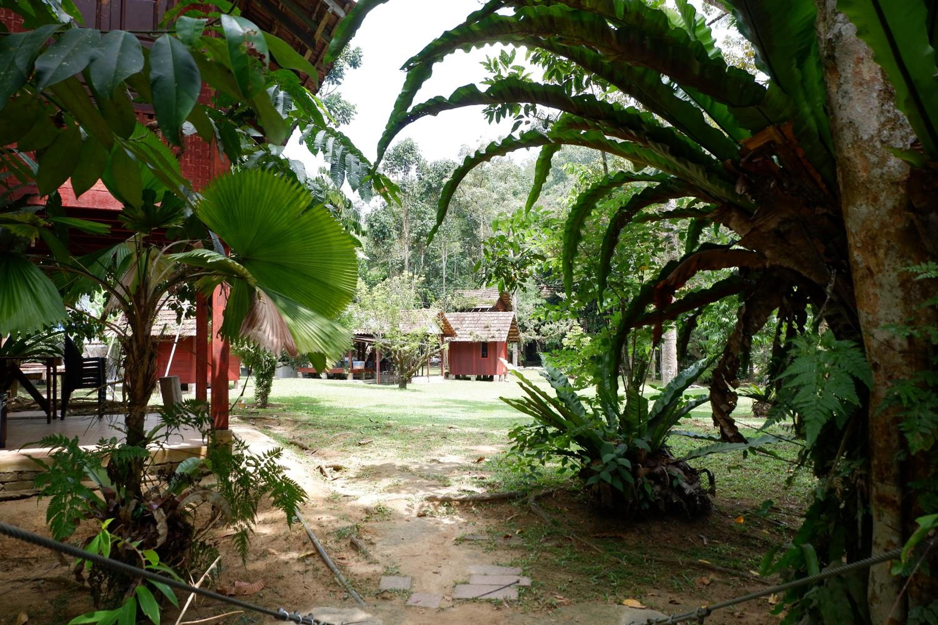 Jungle Zen Janda Baik Campsite photo 5