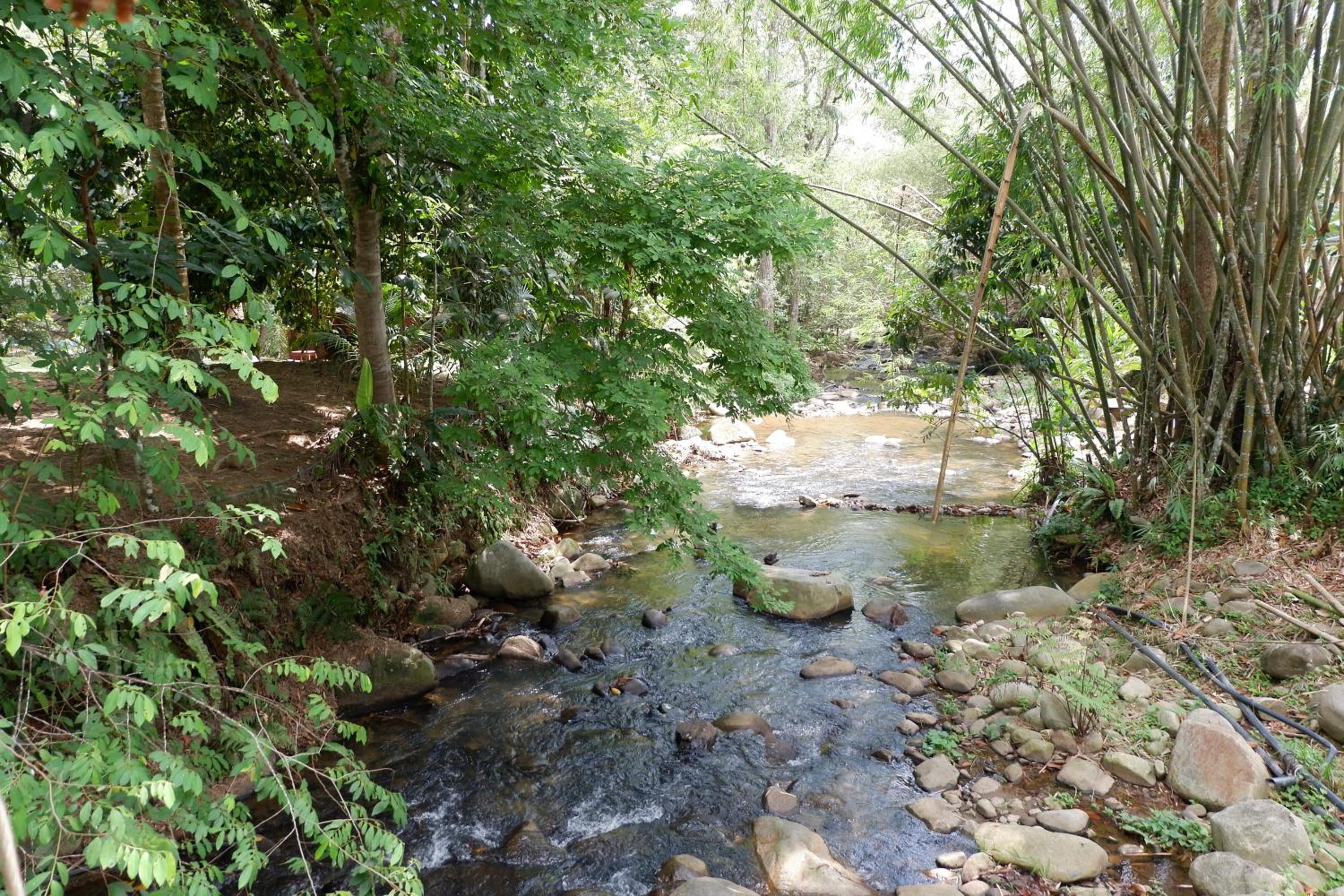 Jungle Zen Janda Baik Campsite photo 4