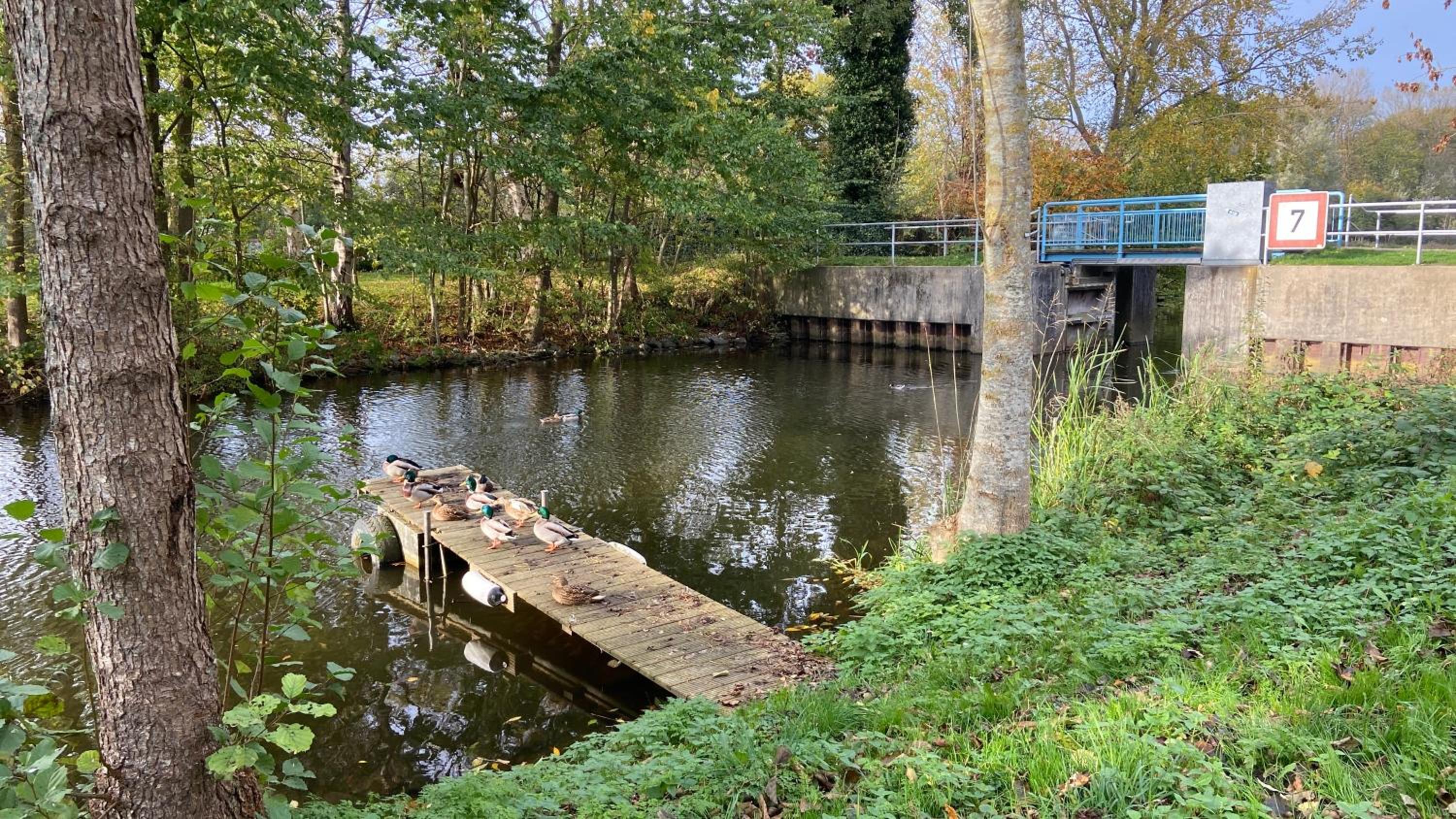 Loftwohnung 1 Simmerdeis an der Gracht