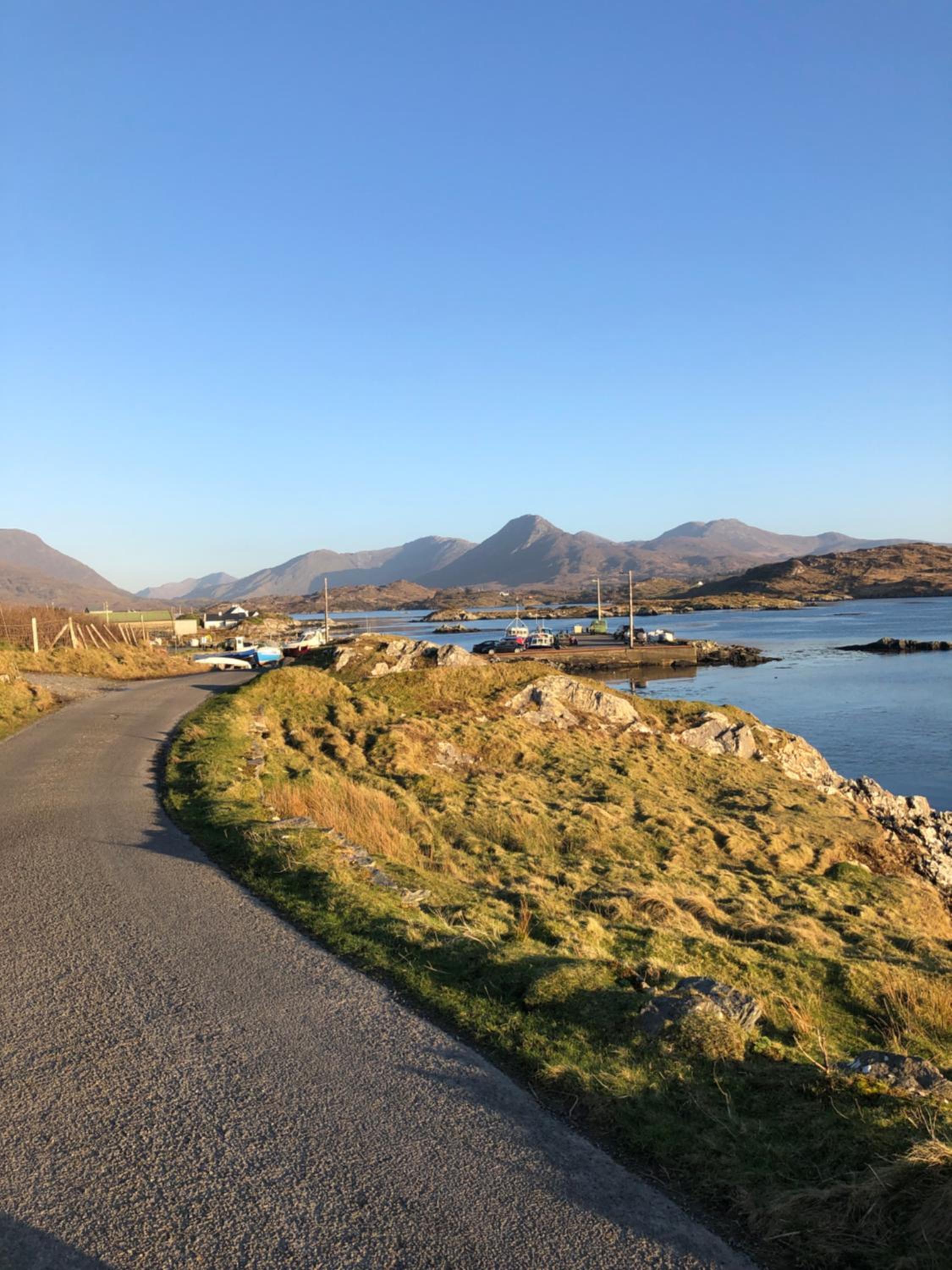 Bruíon Connemara