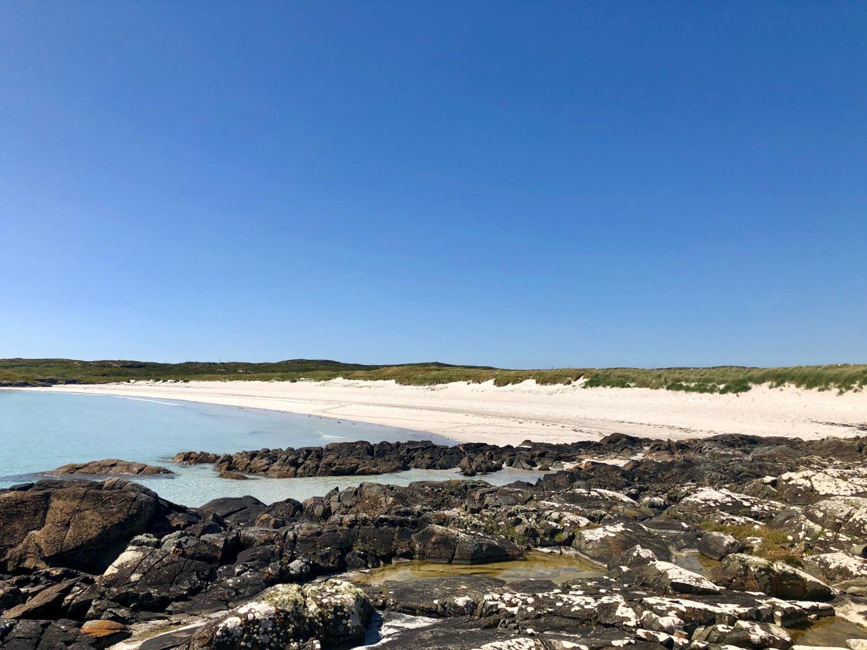 Bruíon Connemara