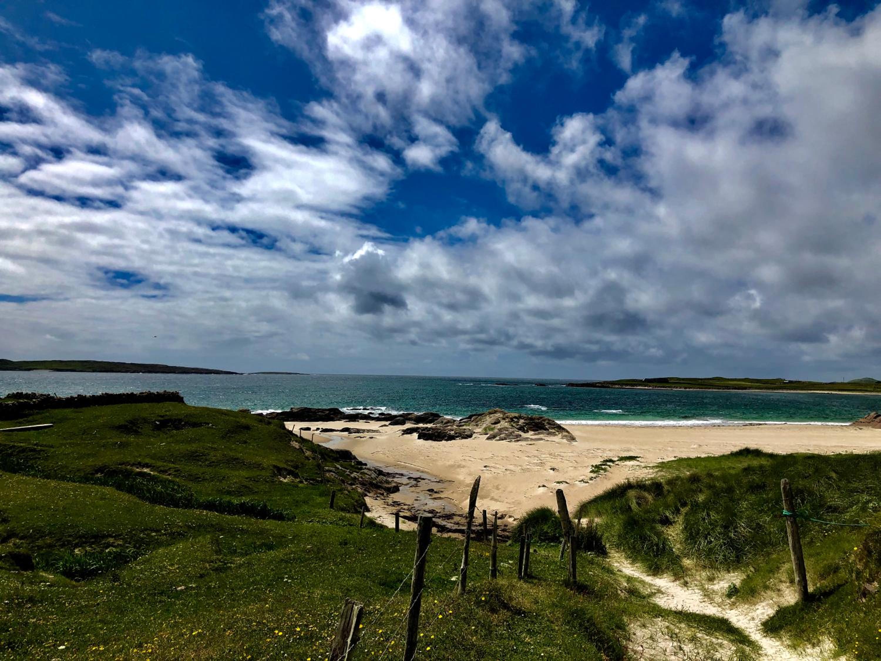 Bruíon Connemara