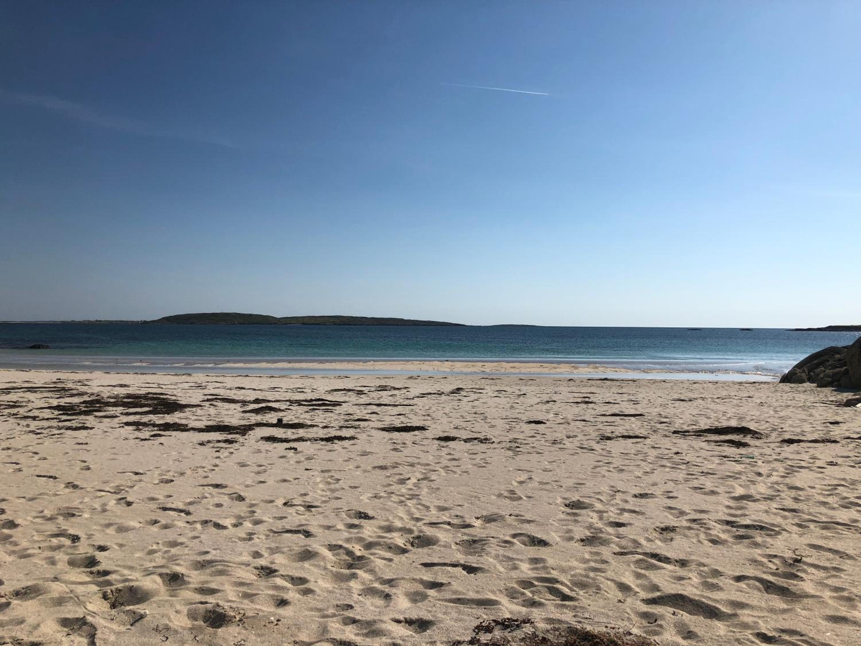 Bruíon Connemara