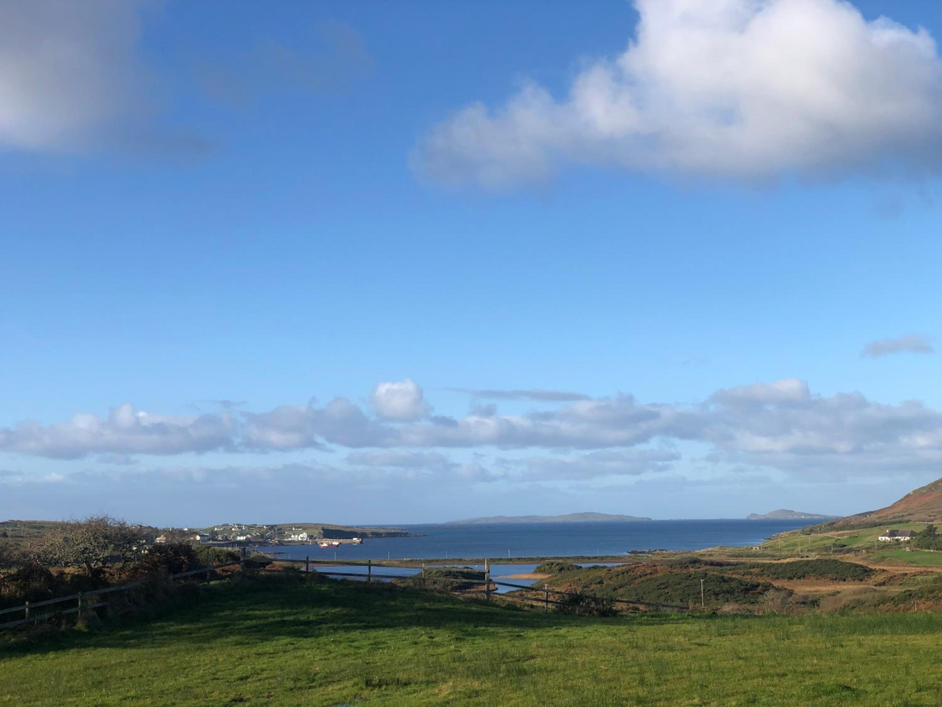 Bruíon Connemara