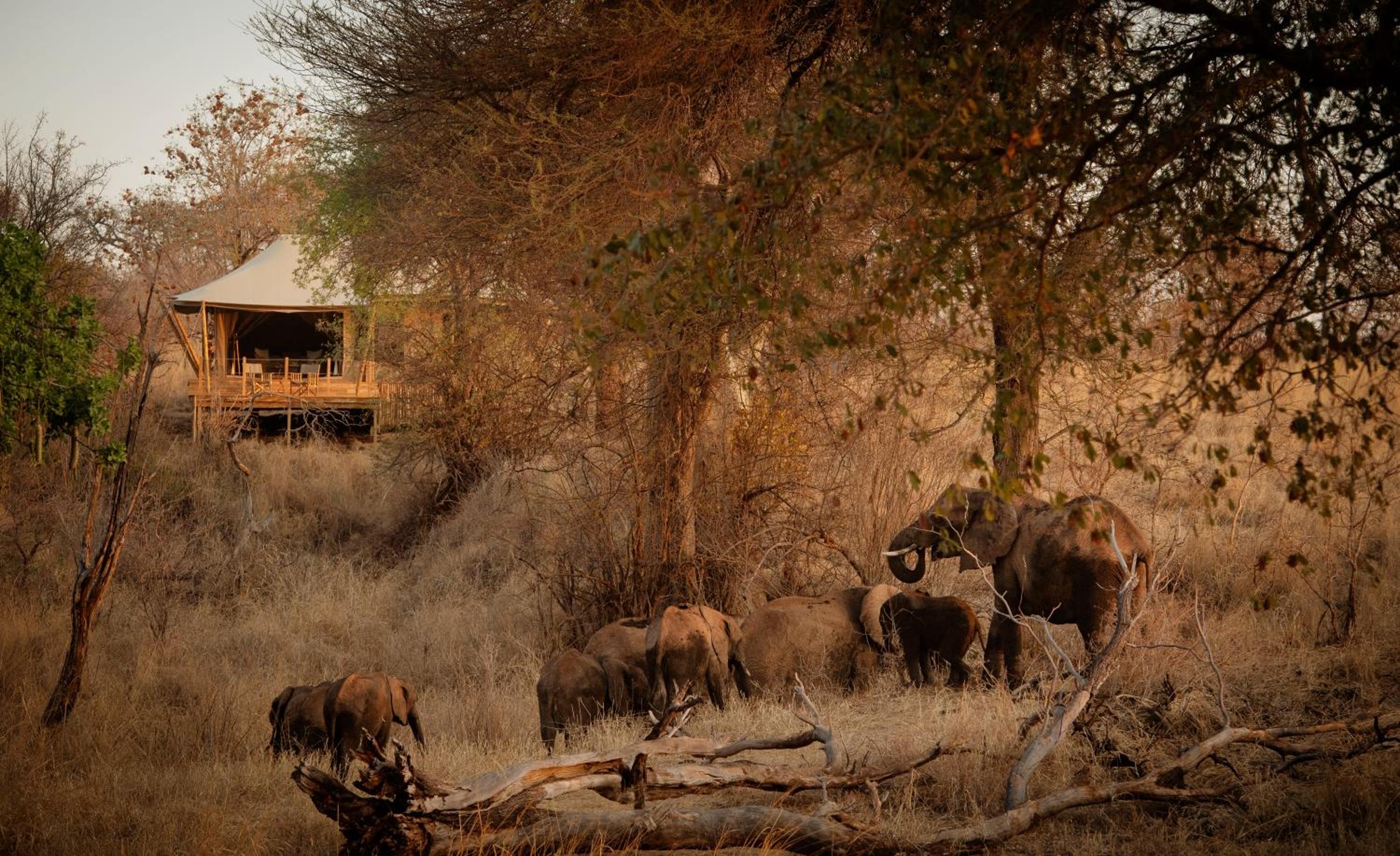 Olkeri Camp