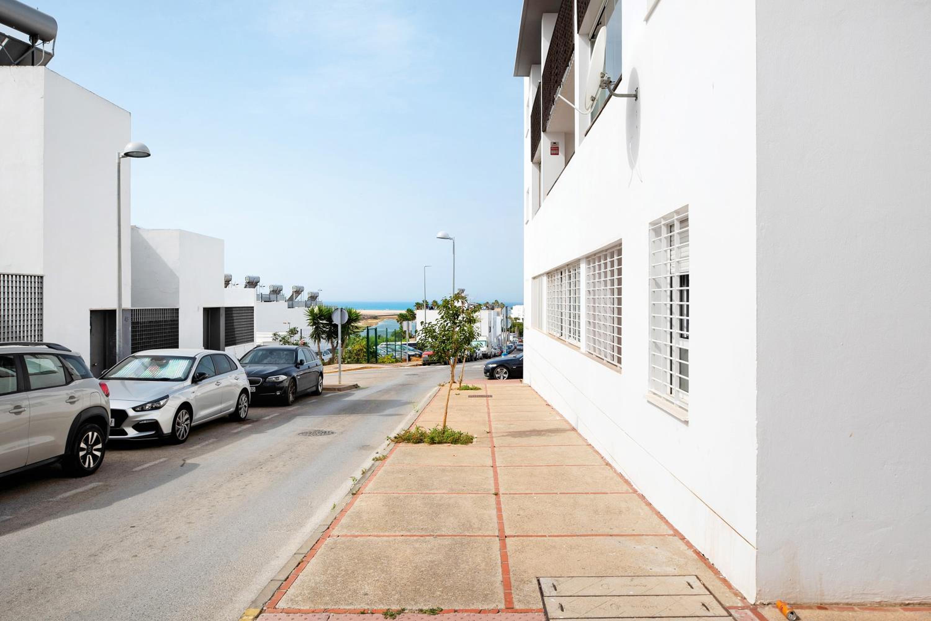 Mirador del Palmar