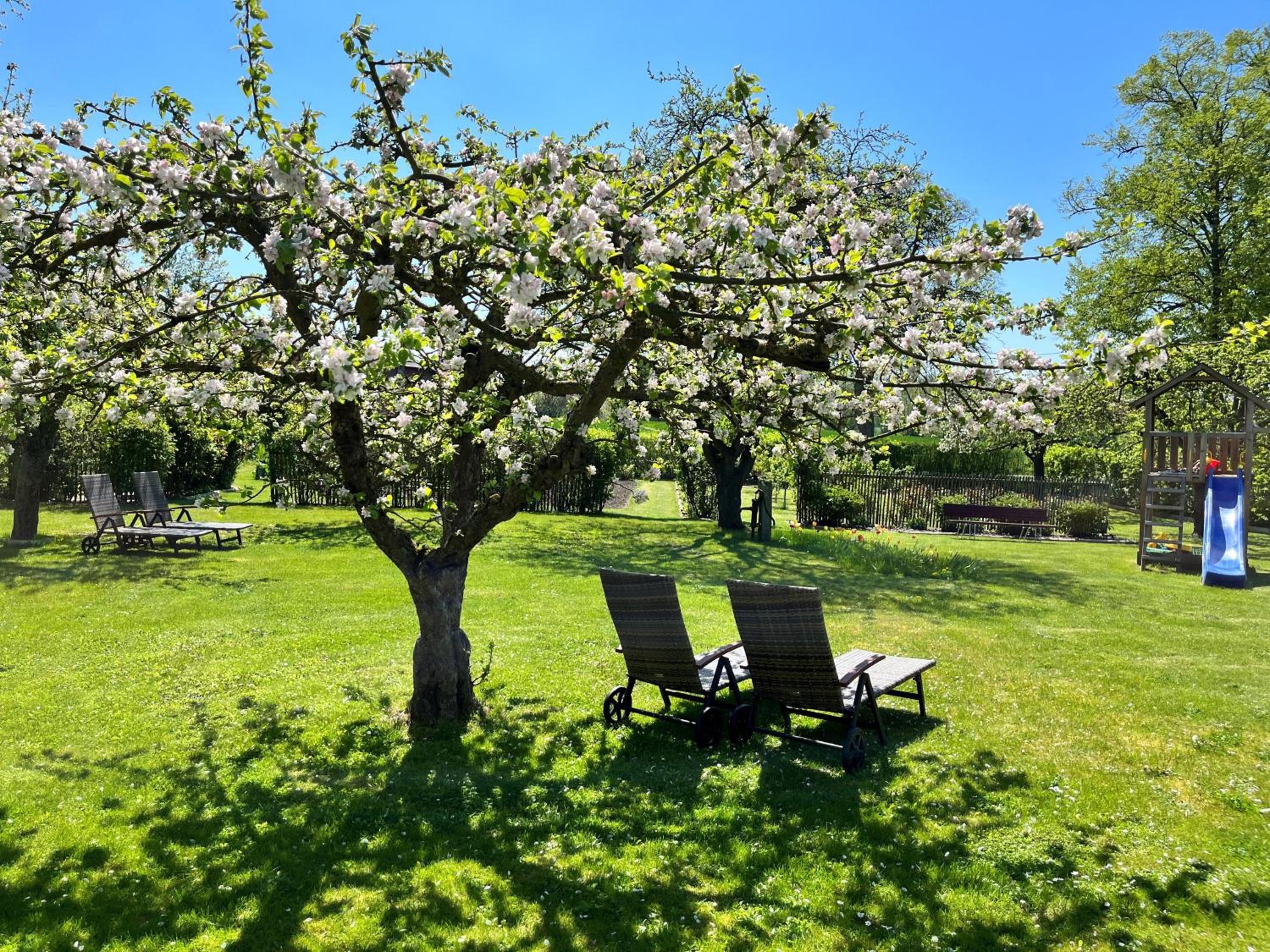 Landidyll Elmenhorst Wohnung 01