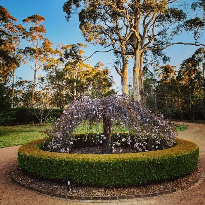 Harley Grove Bowral
