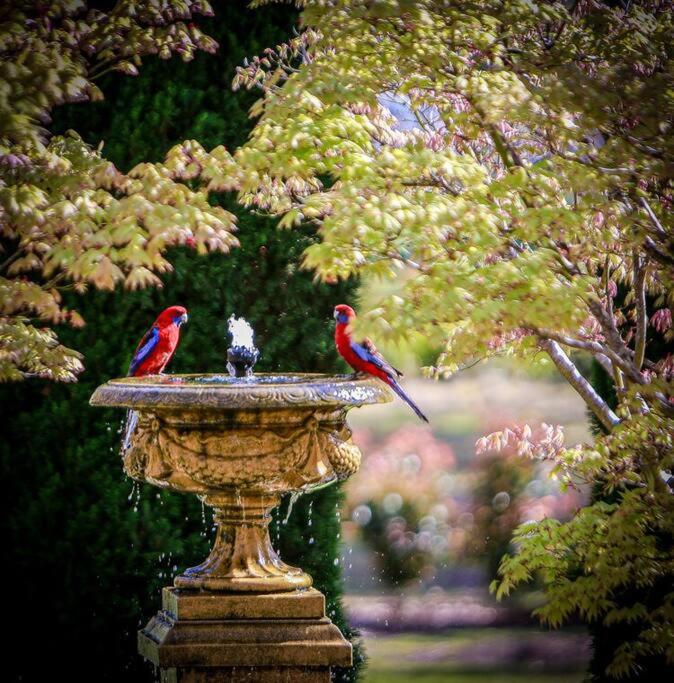 Harley Grove Bowral