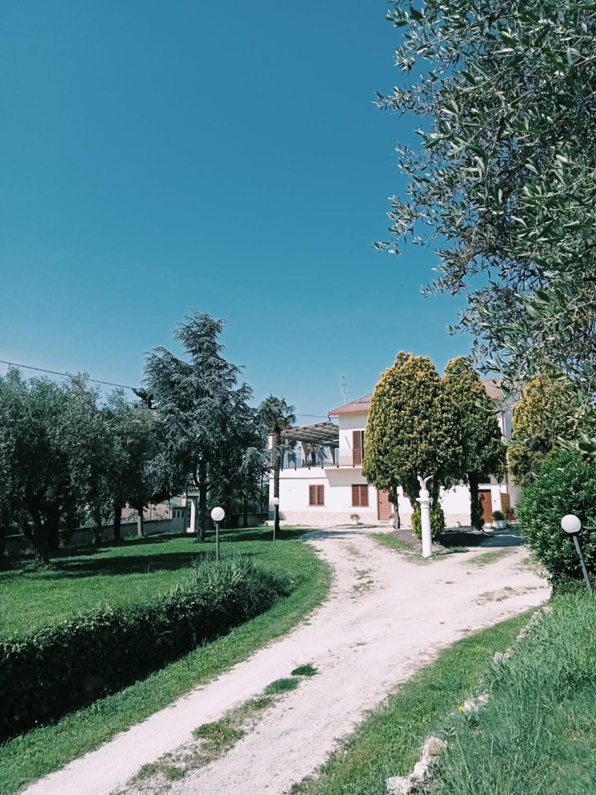 Le Colline Del Conero view 4