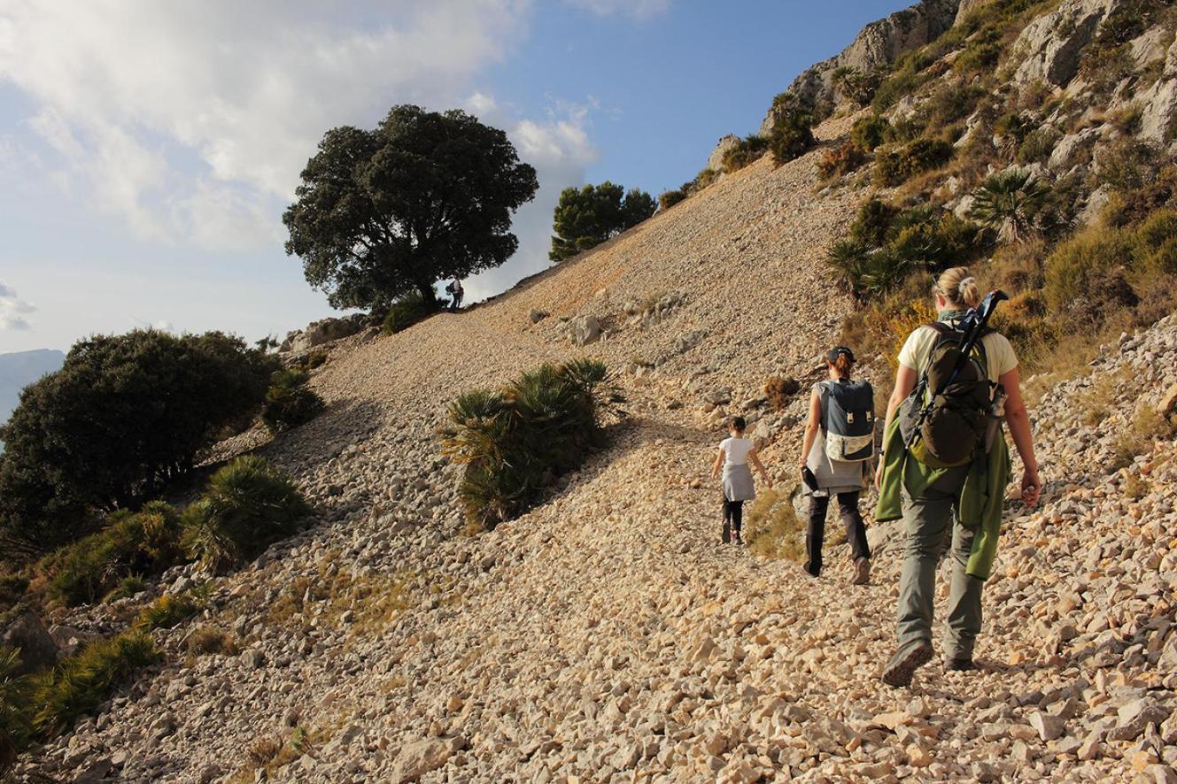 Camping Fonts del Algar
