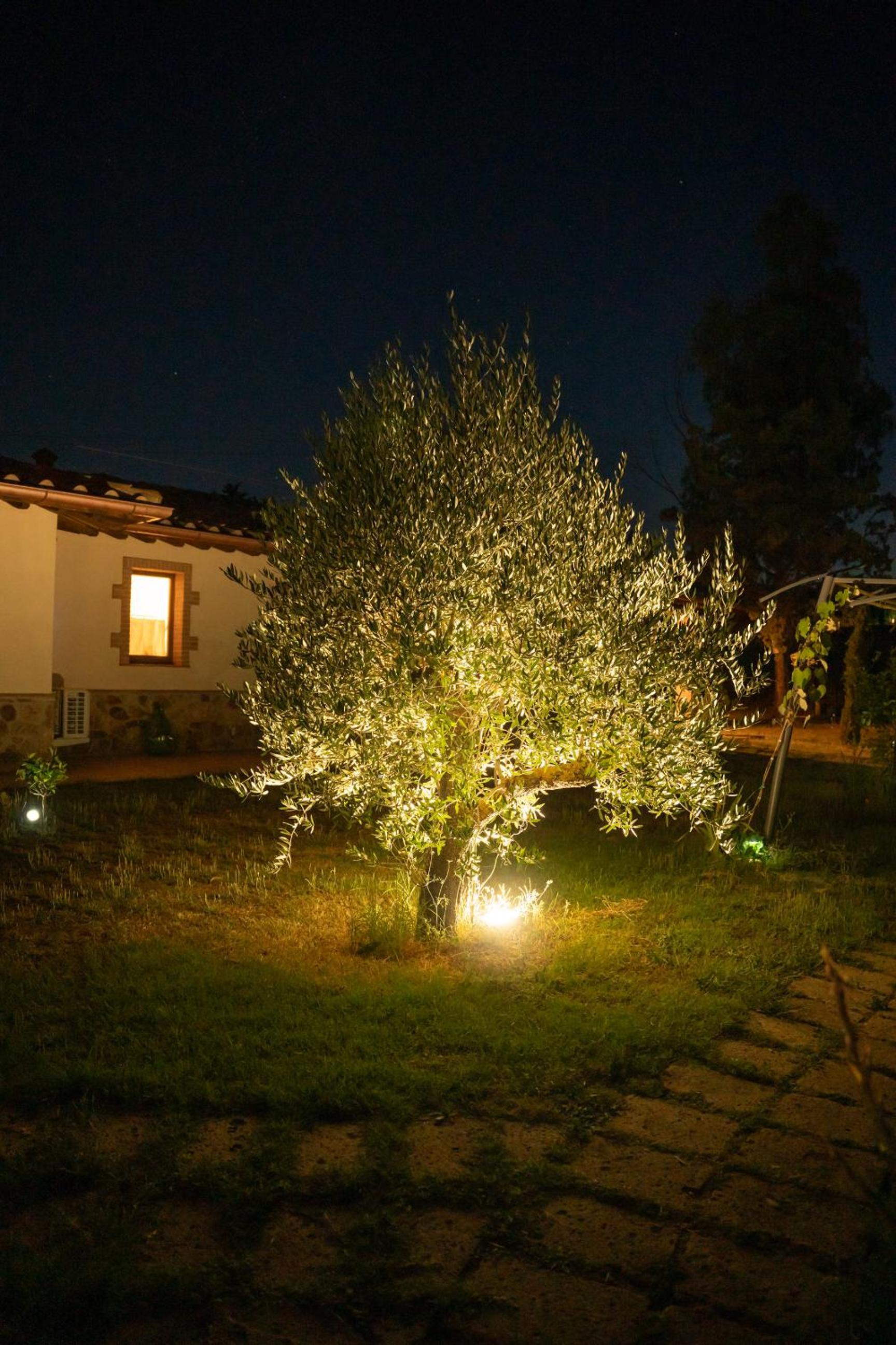 Agriturismo Anfora della Vita