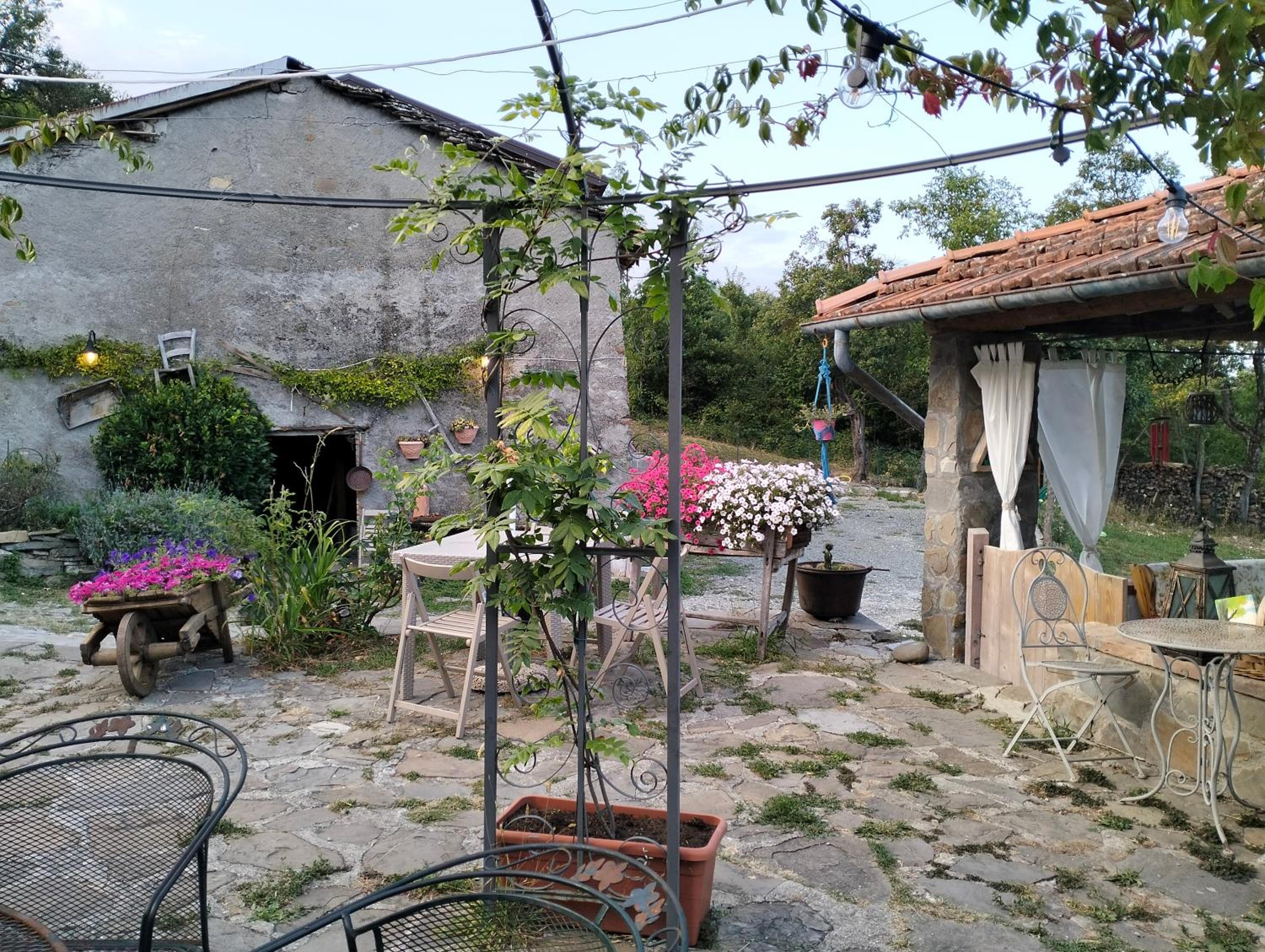 Photo 8