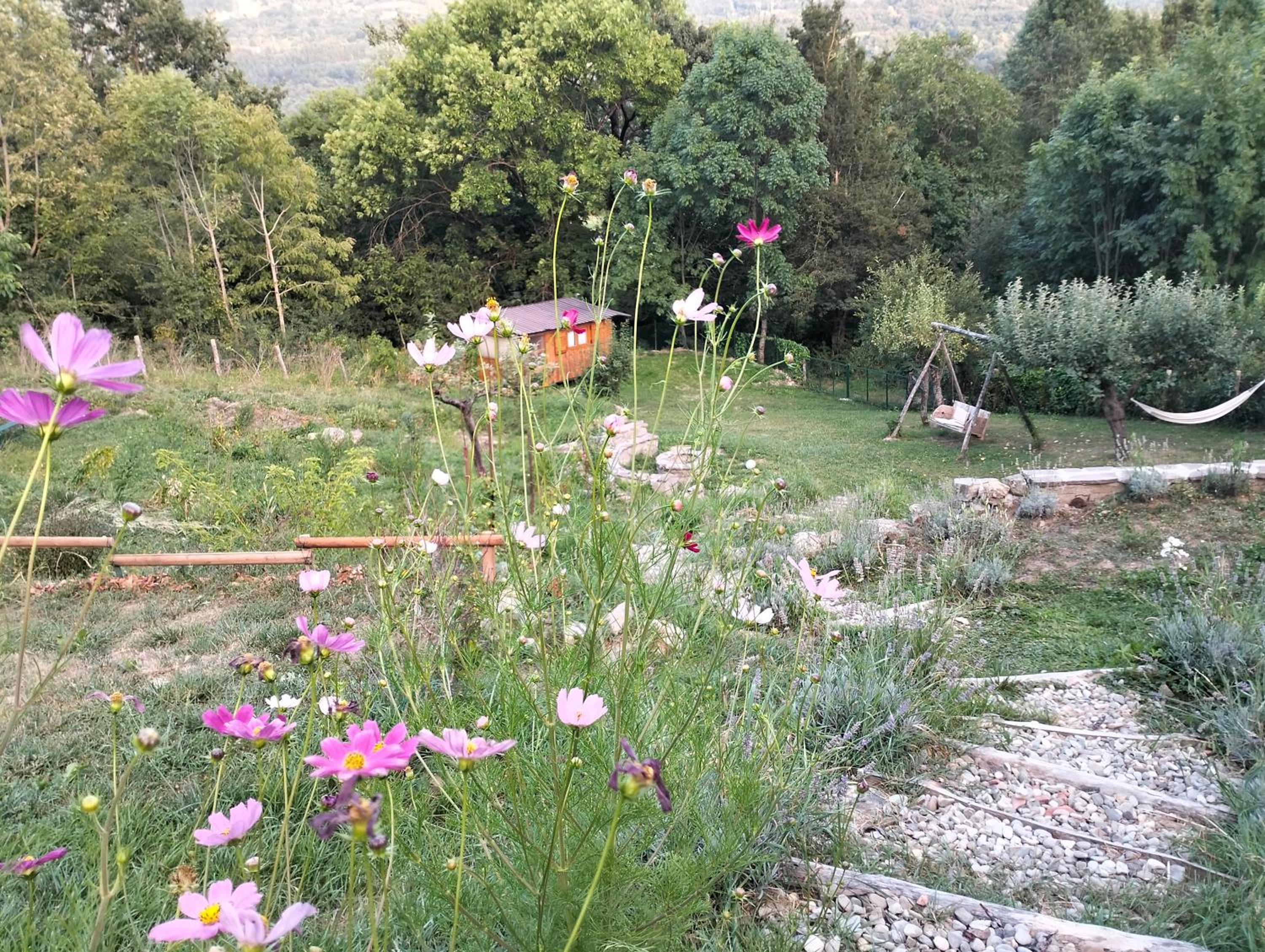 Photo 35
