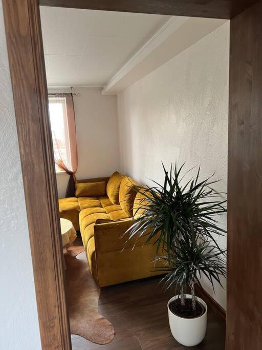Sepa Apartement
