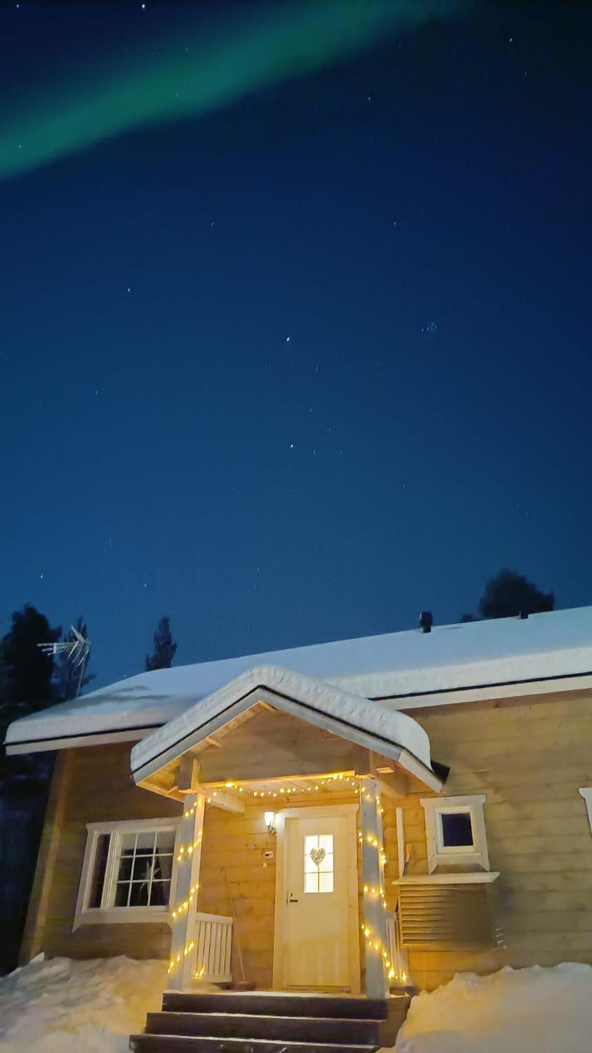 Hallahaukka