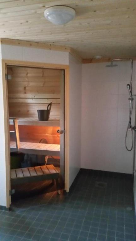 Hallahaukka