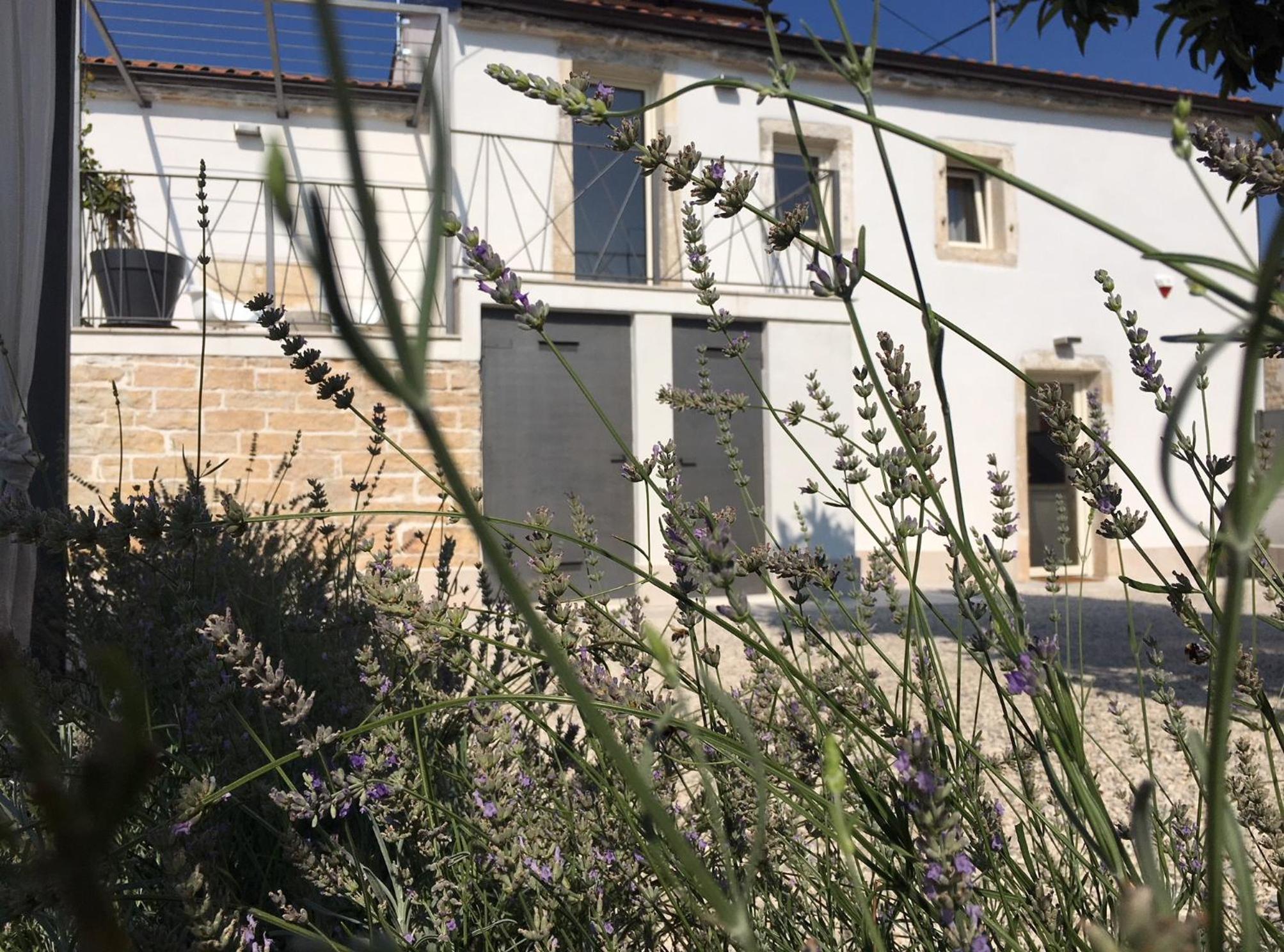Nice Villa In Barat, Kanfanar With Outdoor Swimming Pool And Wifi