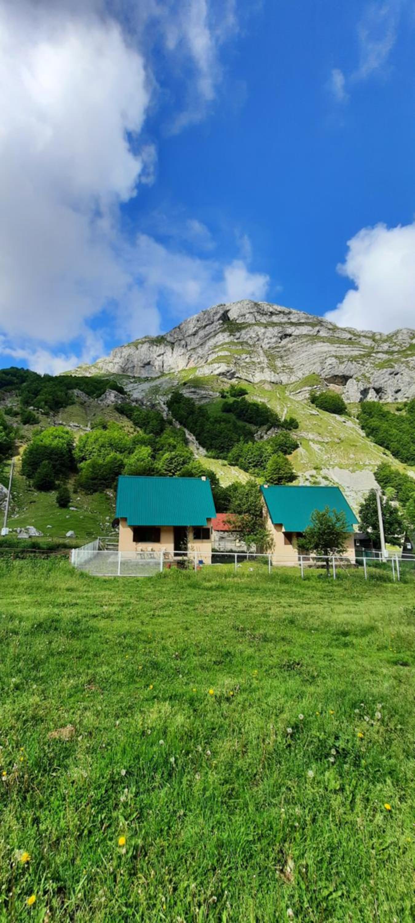 Katun Mokra accommodation & horseback riding view 3