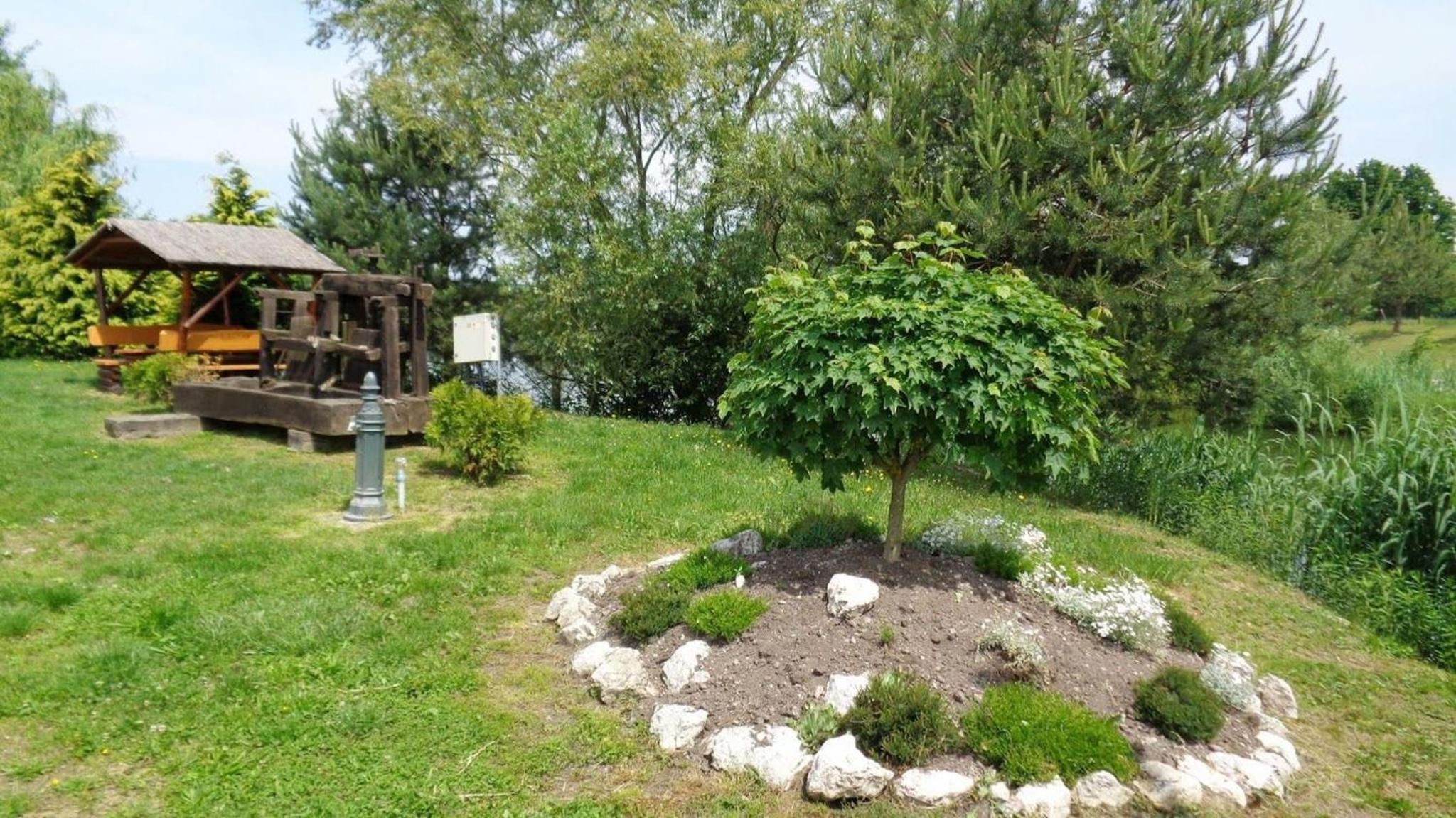 Photo 21
