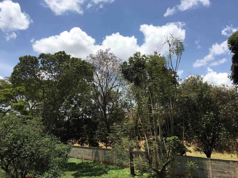 Lovely Apartment in Westlands