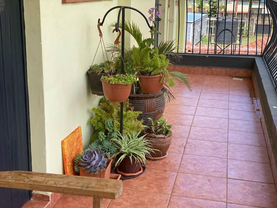 Lovely Apartment in Westlands