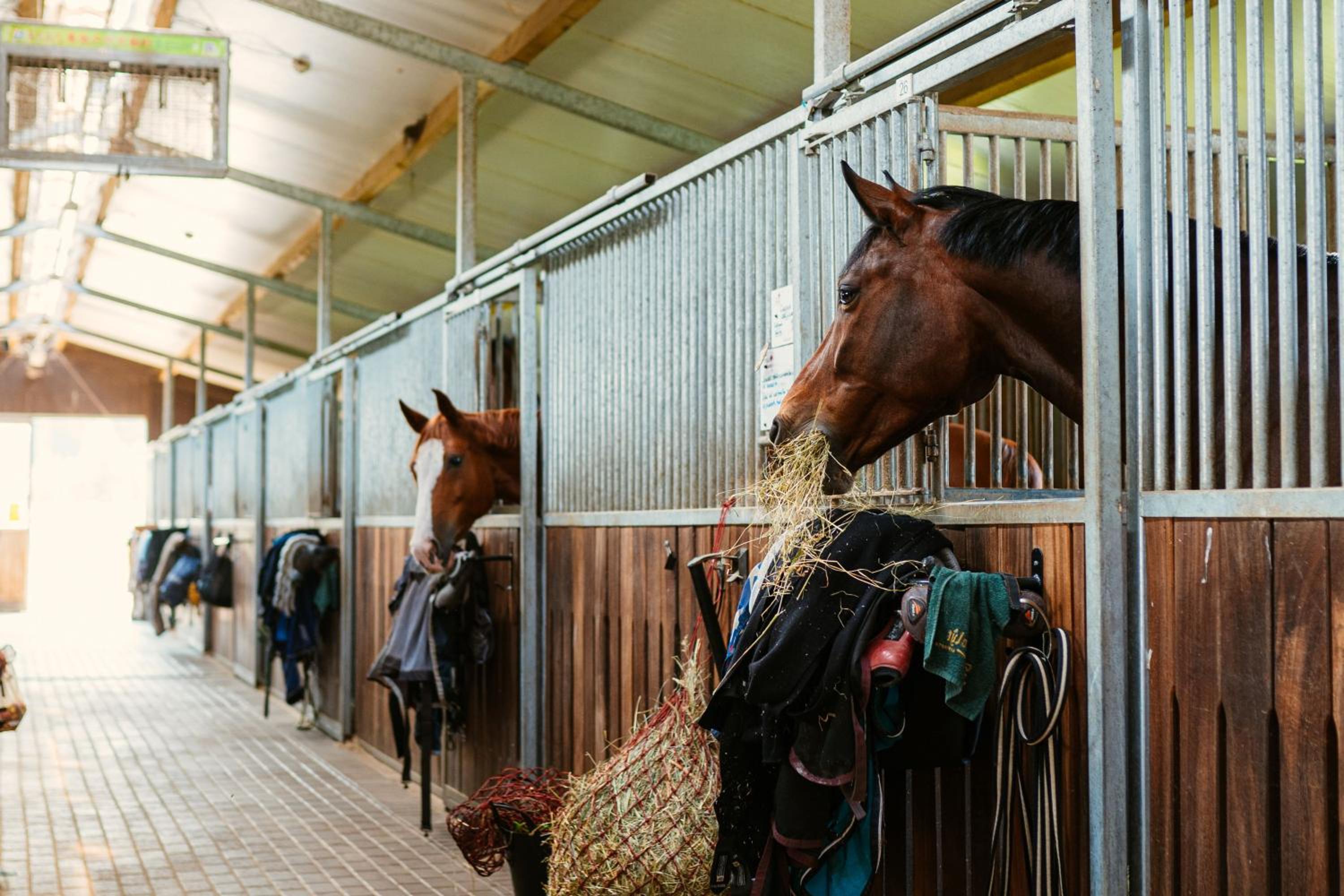 Caravans Camping in Young Riders School view 2