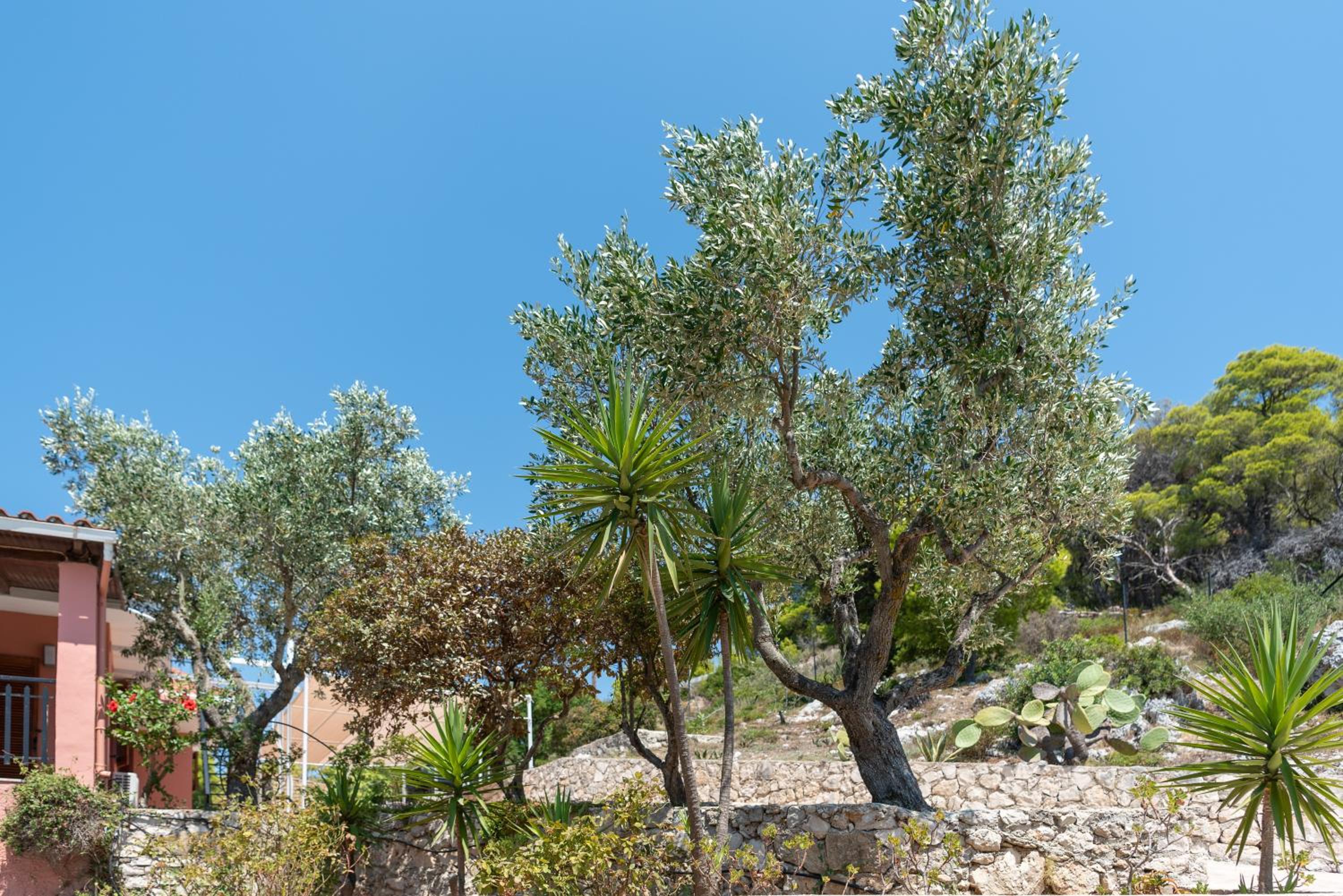 Villa Apelati