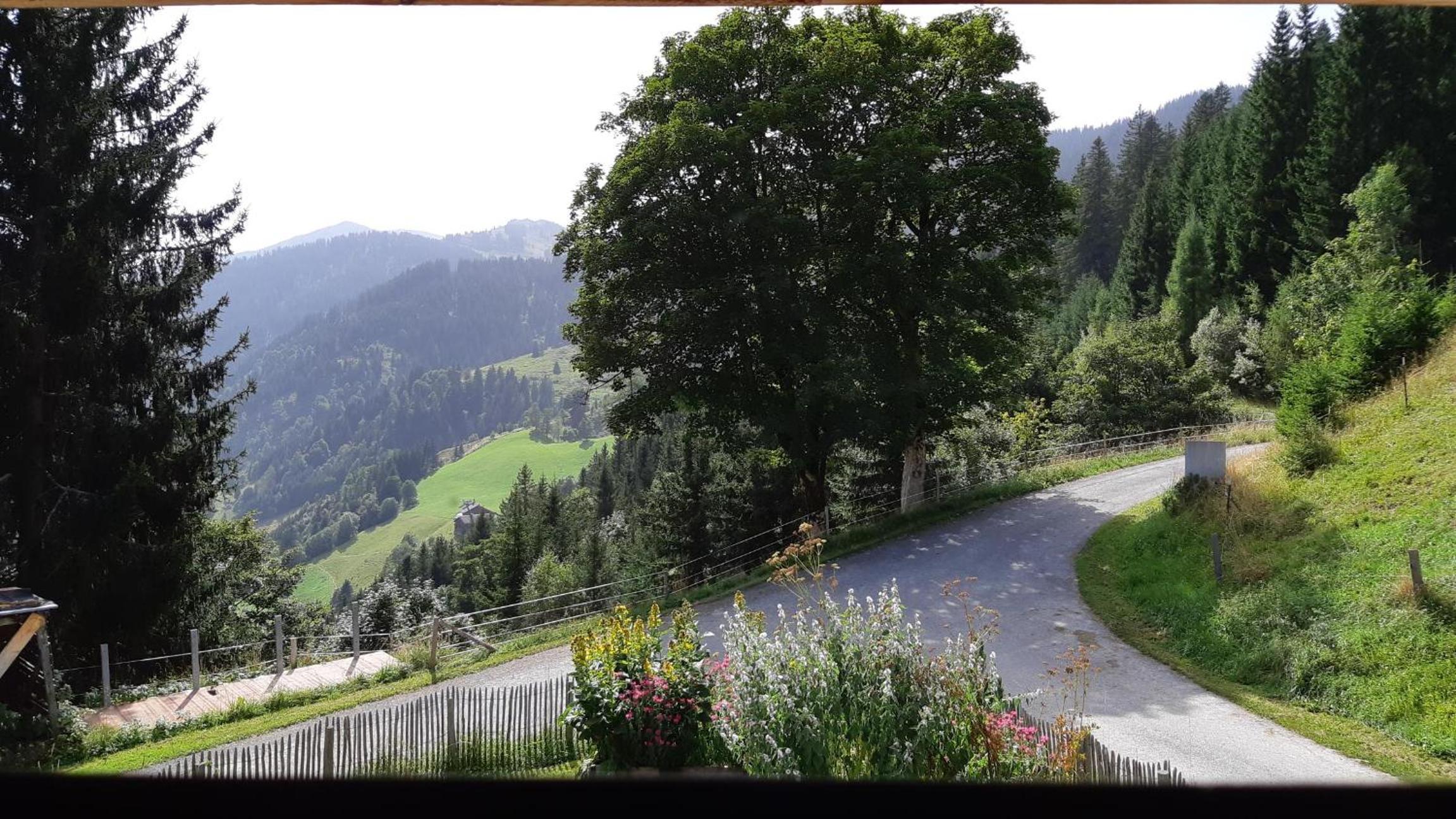 Das Hochkönig