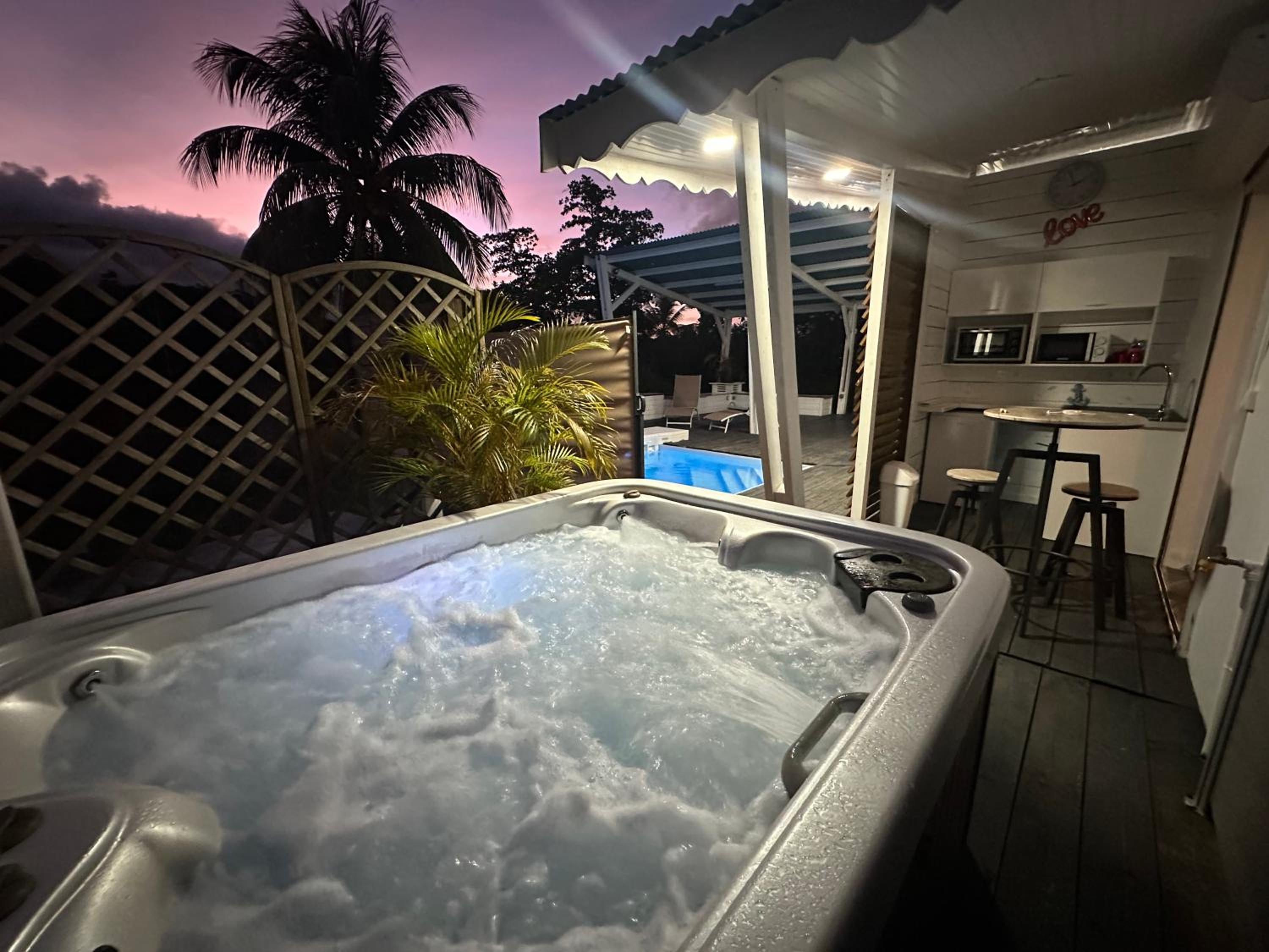 Maison avec piscine et jacuzzi view 5