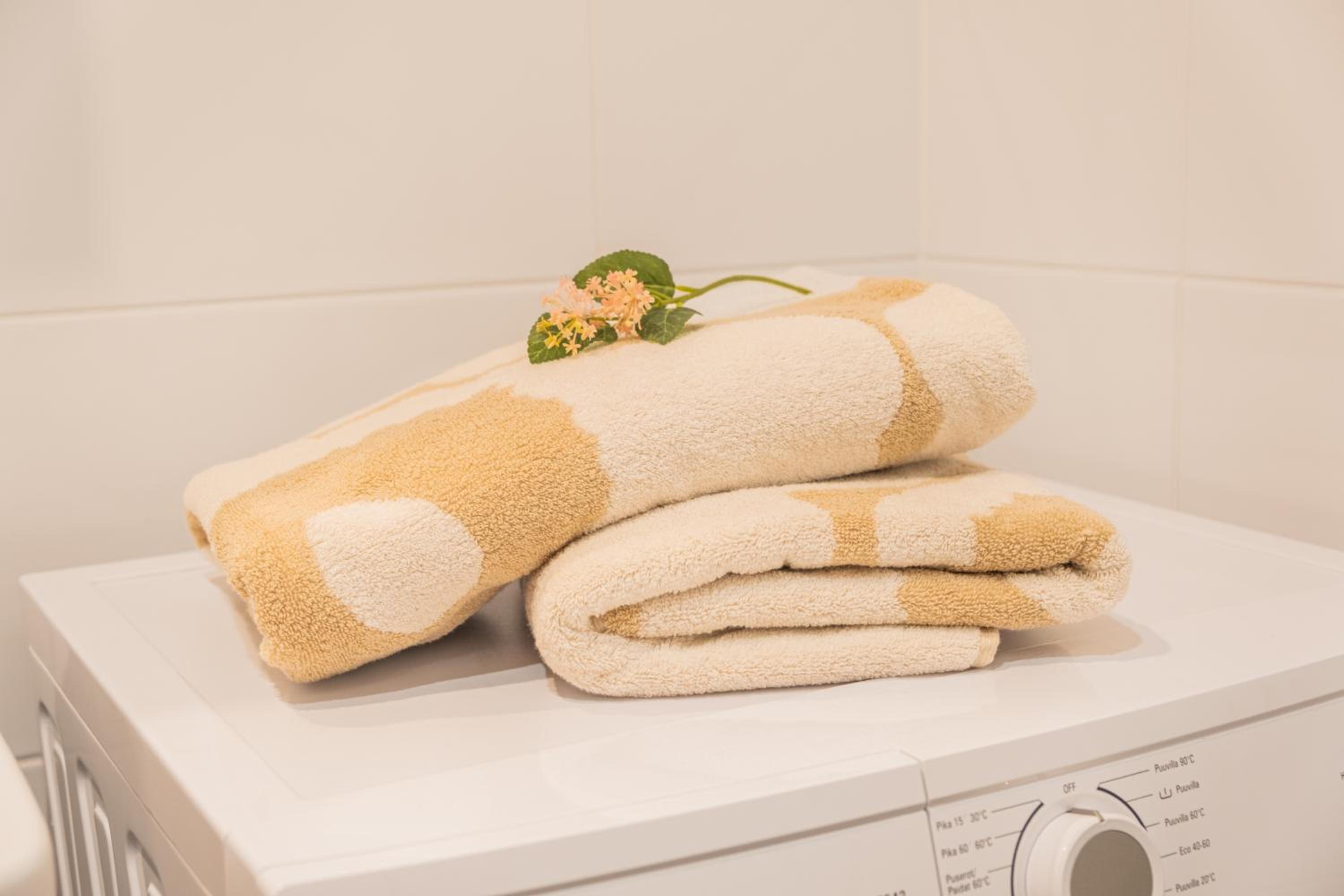 Snowflake suites, Pet friendly accommodation