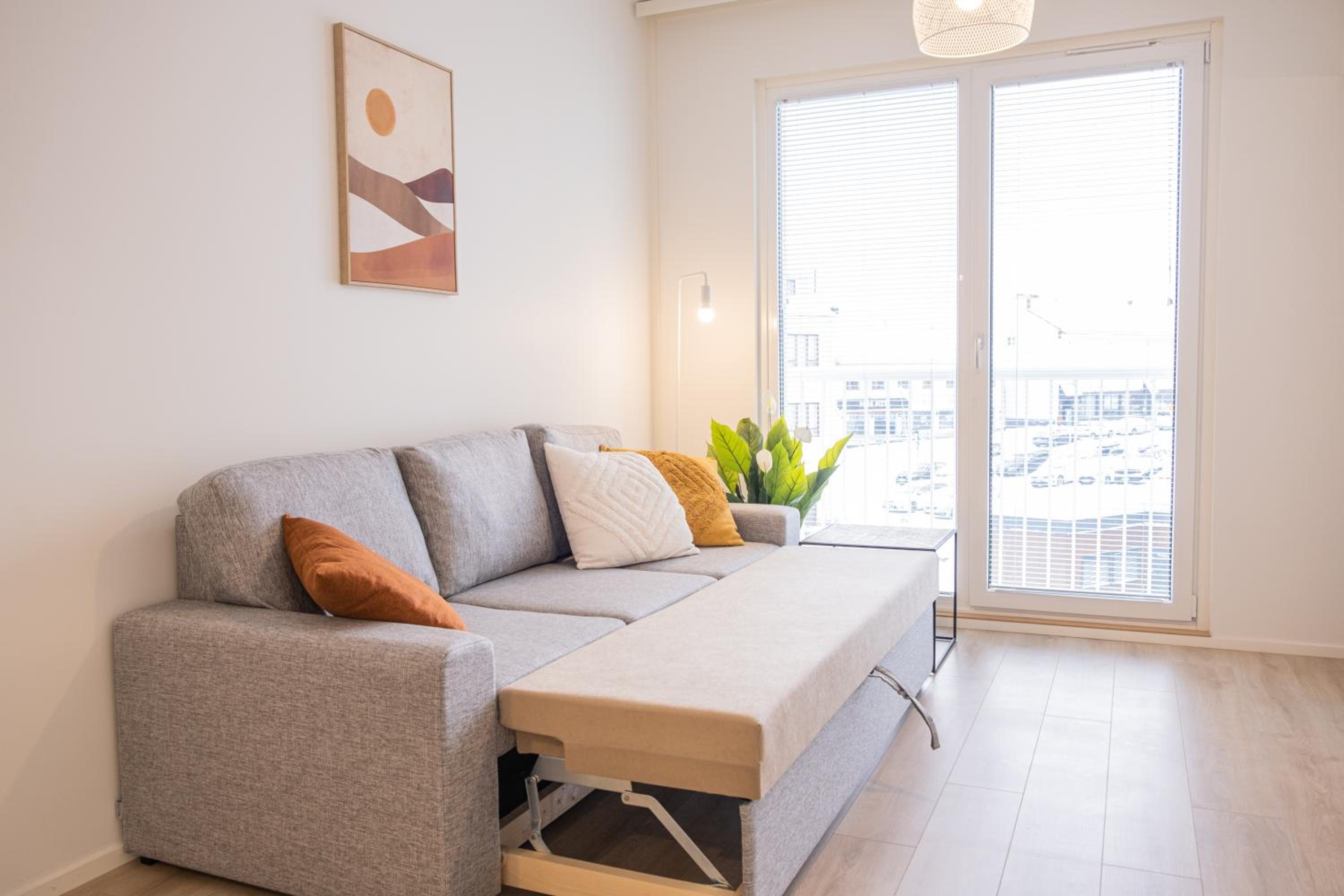 Snowflake suites, Pet friendly accommodation
