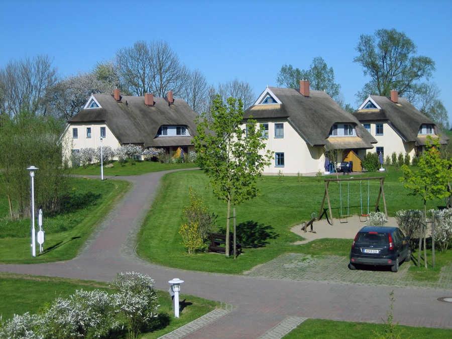 Komfortables Reetdachferienhaus Hasel 1 view 4