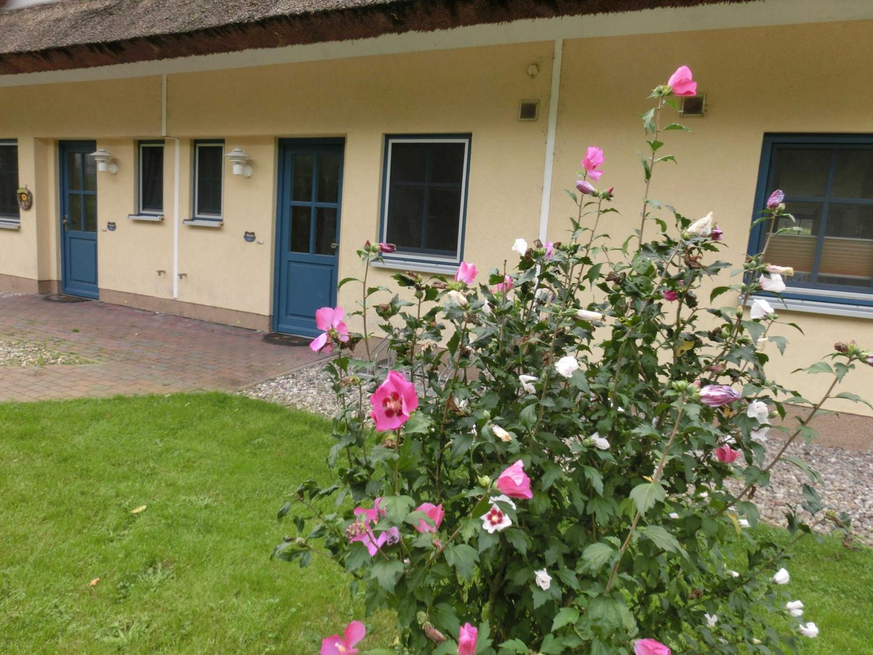 Reetdachhaus Malve 3 im Feriendorf Puddeminer Wiek view 4