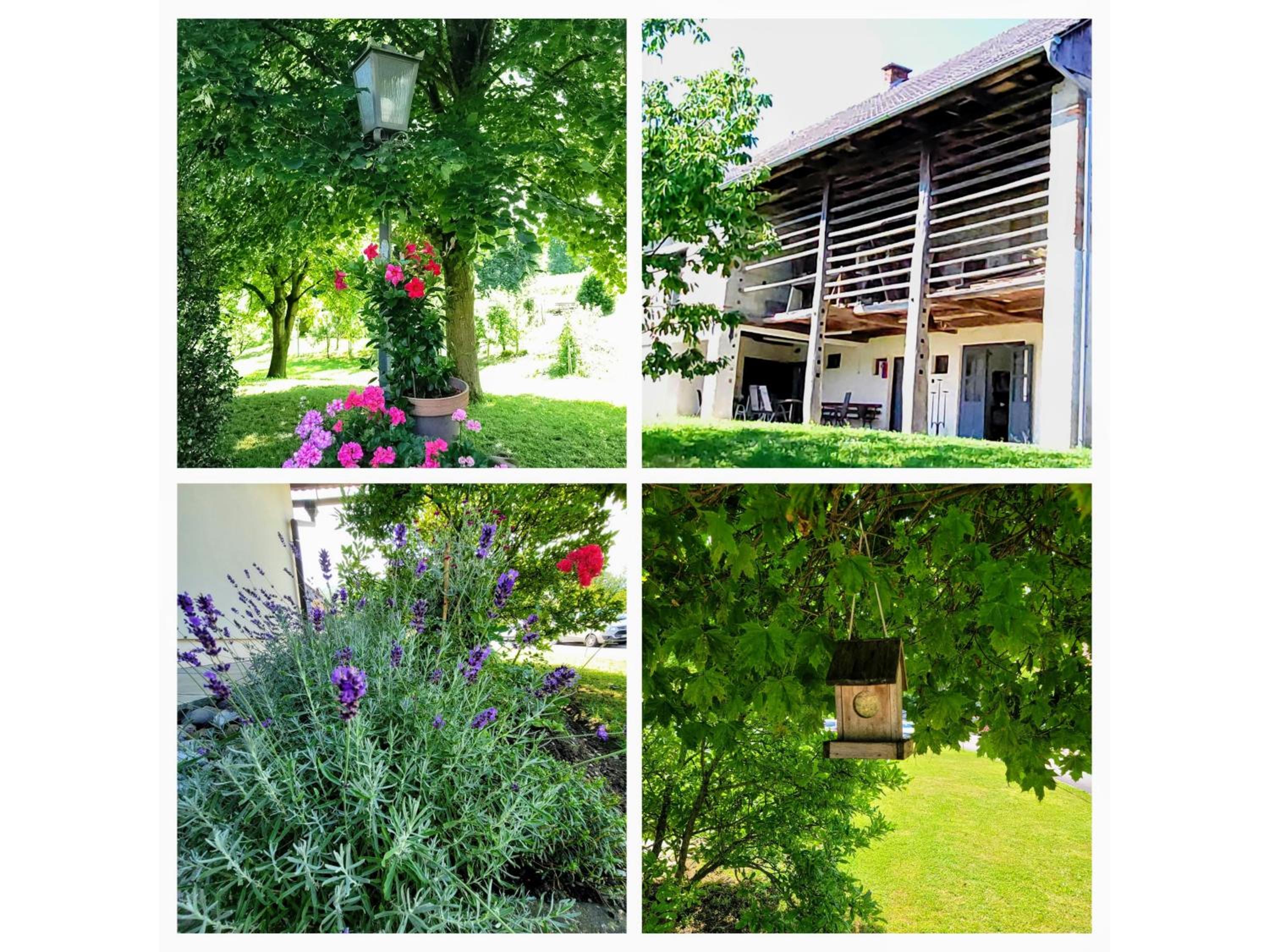 Apartma Stanka