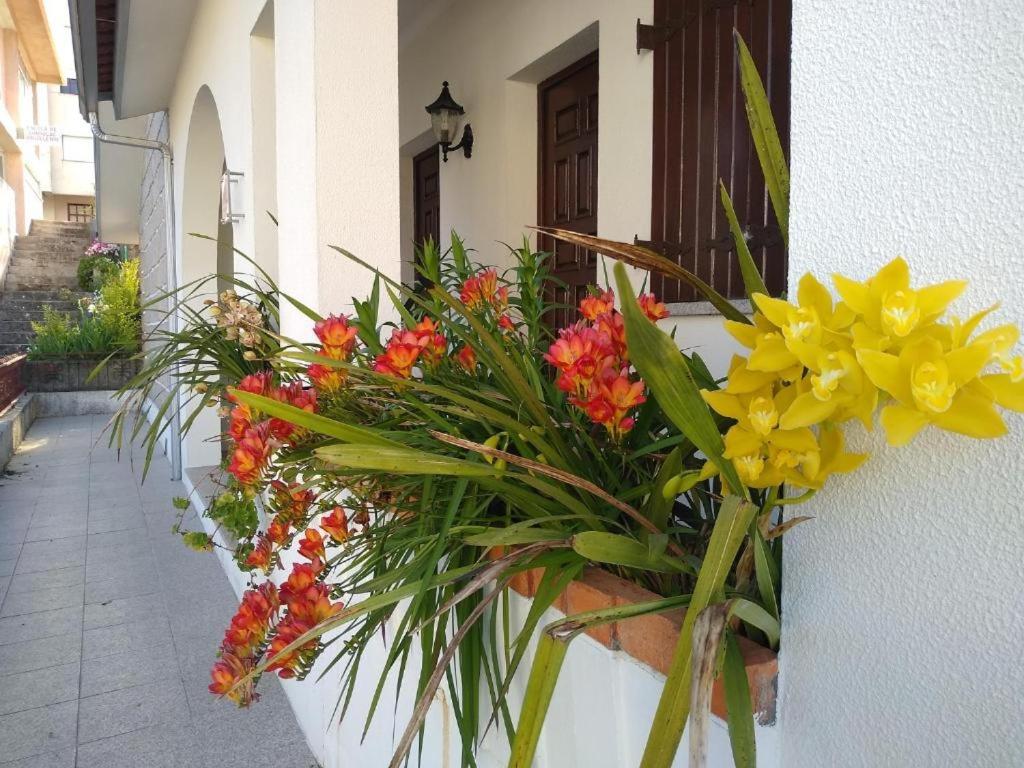 Casa da Piedade, Vouzela view 5