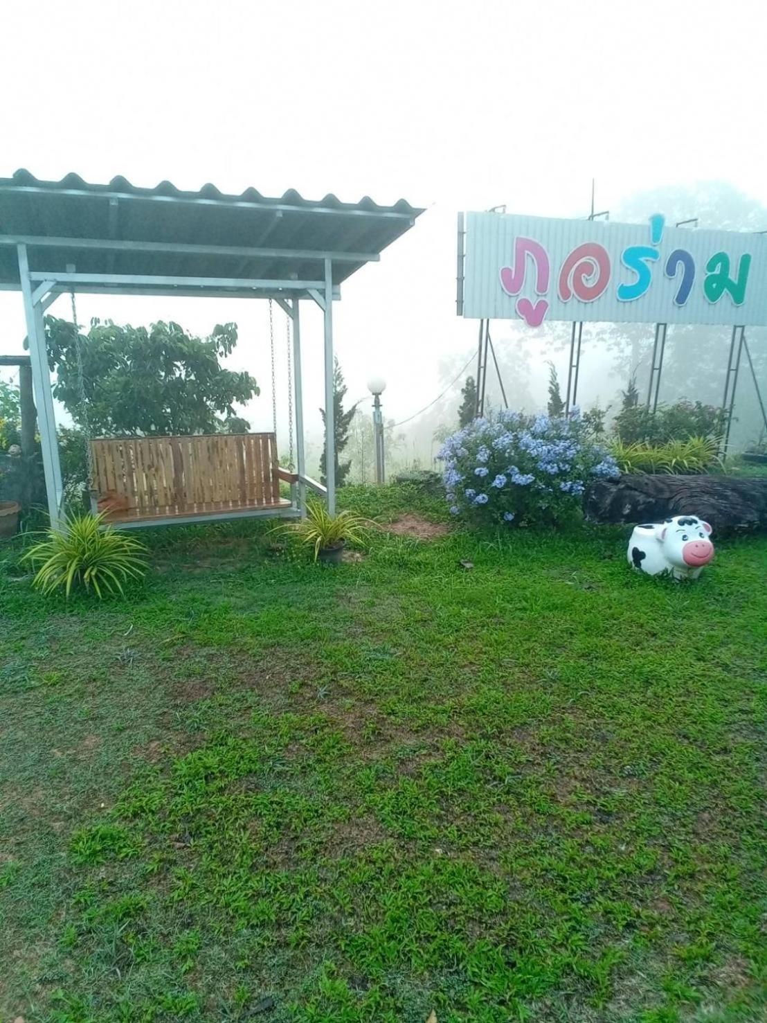 Photo 41