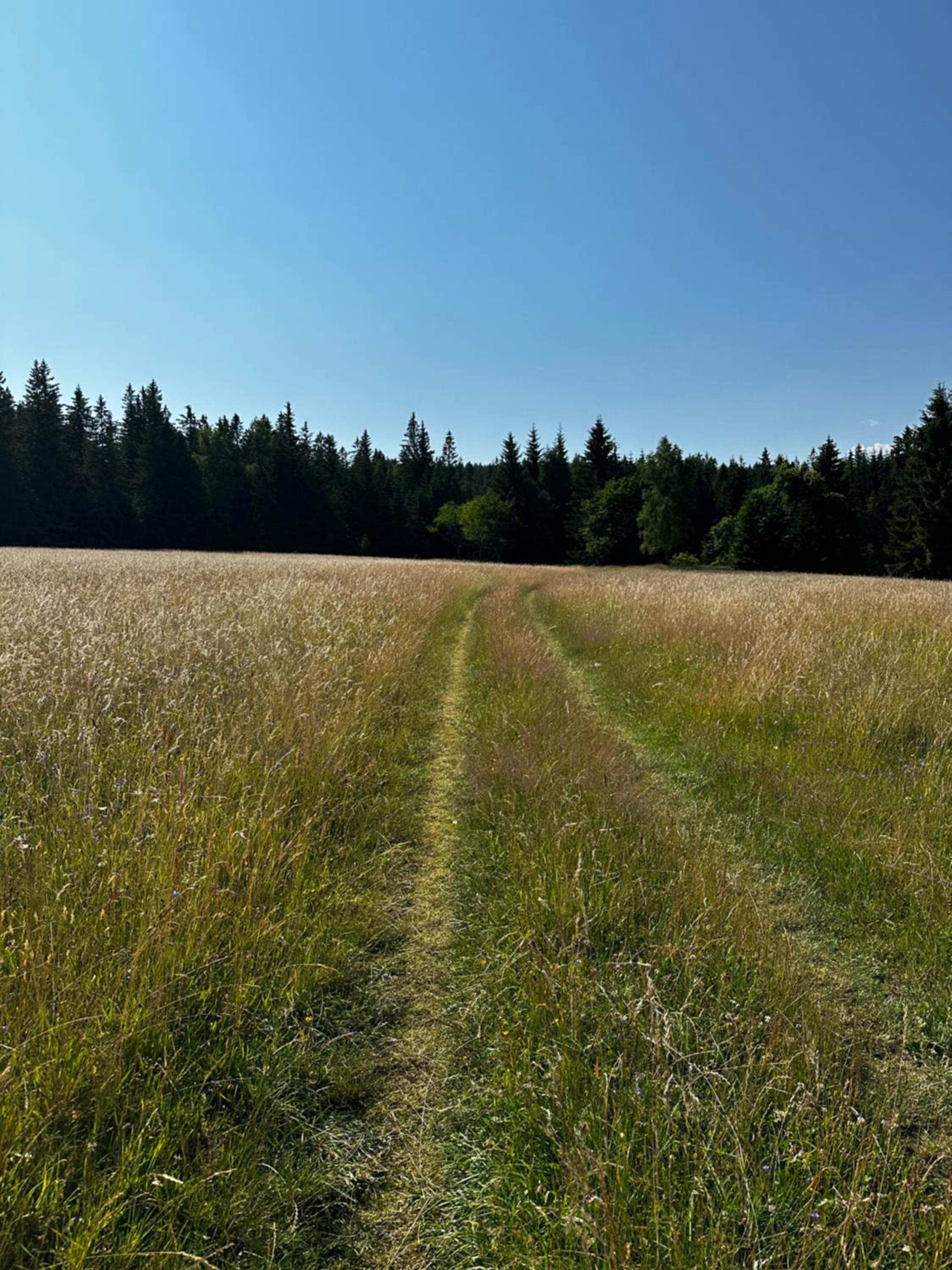 Malá Kráska