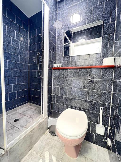 Stylish Ground Floor Garden Flat nr Central London