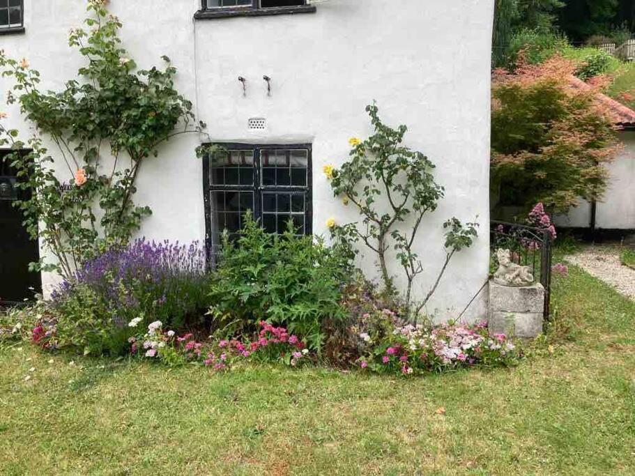 Windsor Cottage