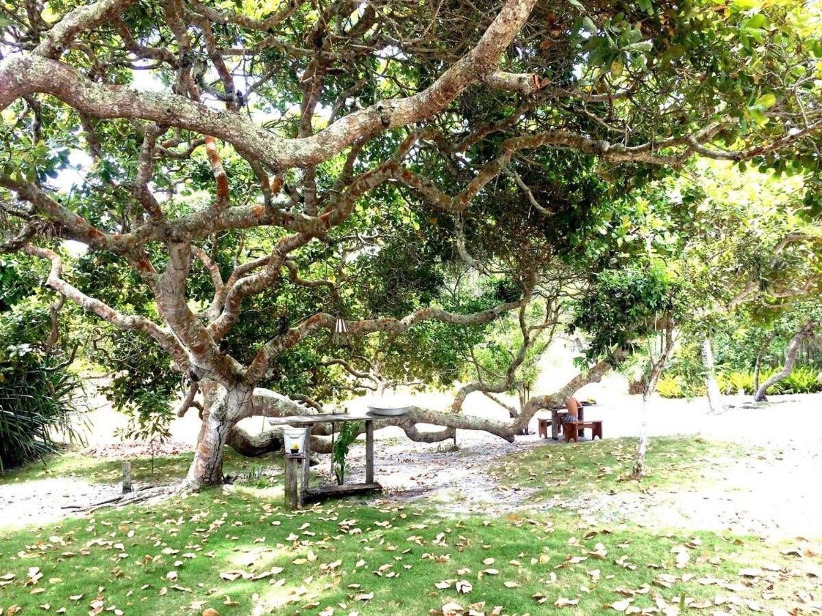 VILA IJEXÁ casas e bangalôs CARAÍVA BA