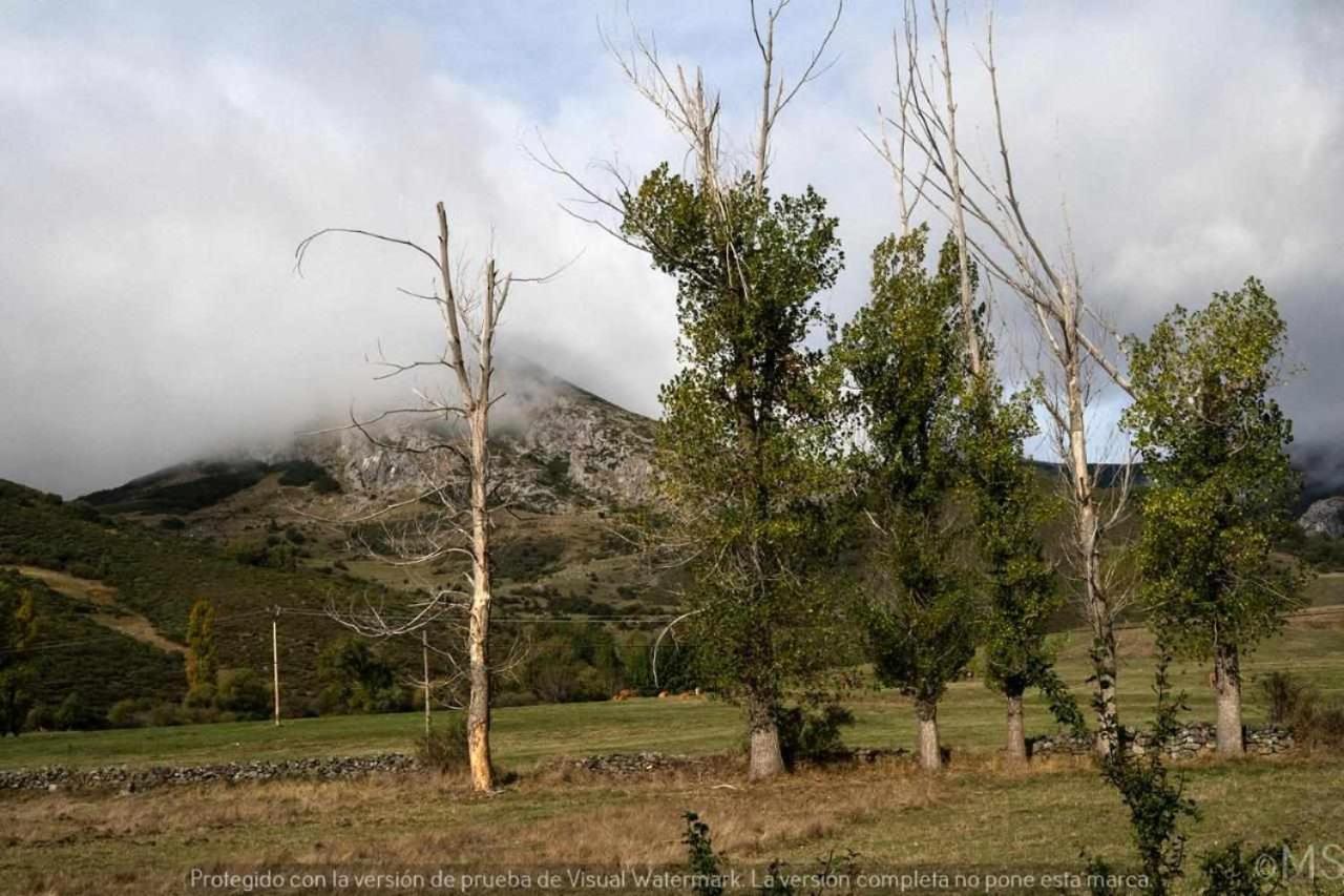 CASA RURAL LA PARDA