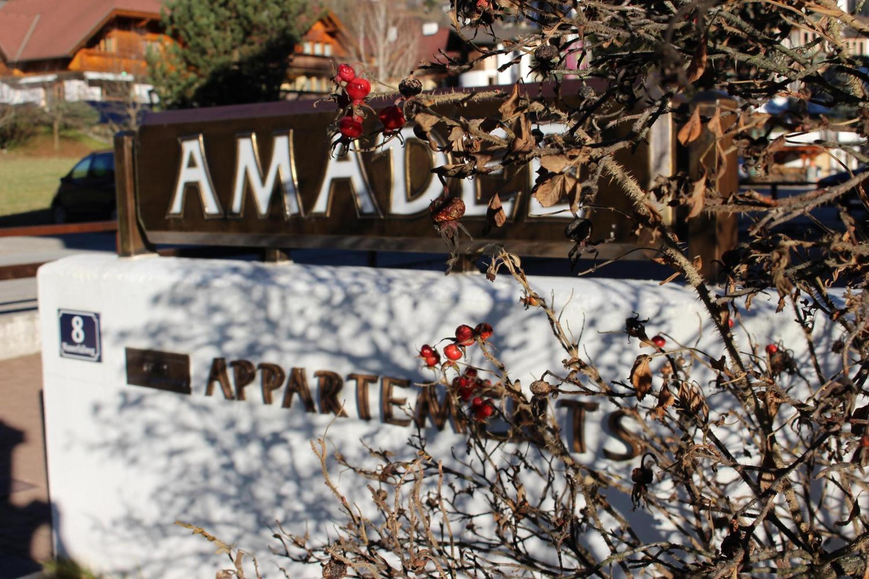 Amadee Appartements