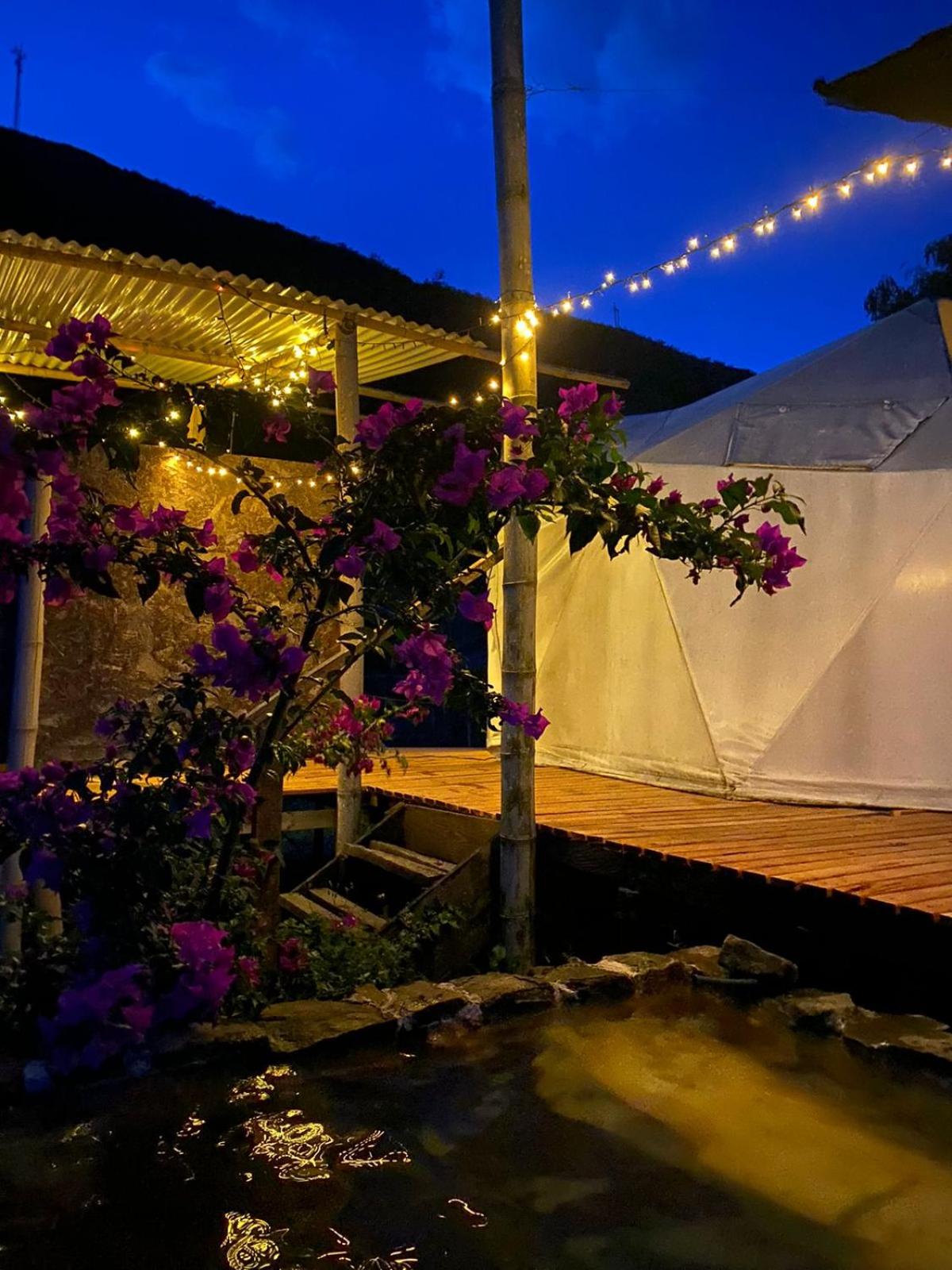 Domo Glamping Reserva Los Cucharos view 3