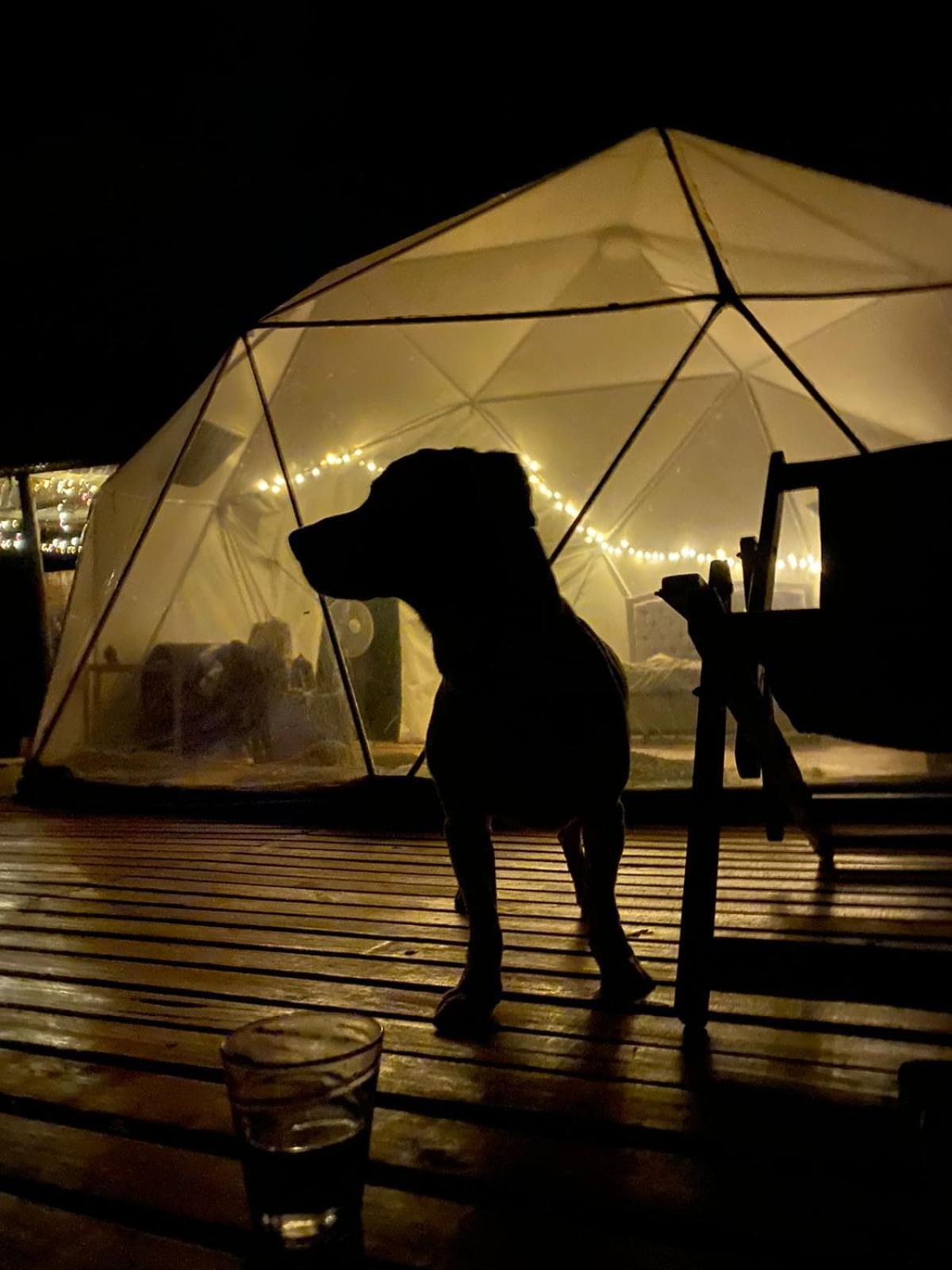 Domo Glamping Reserva Los Cucharos view 2