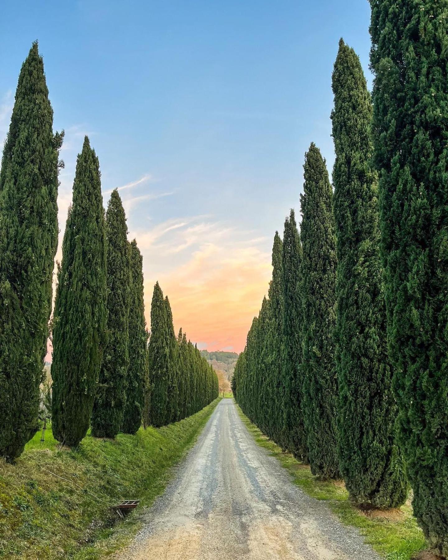 Fattoria Fibbiano