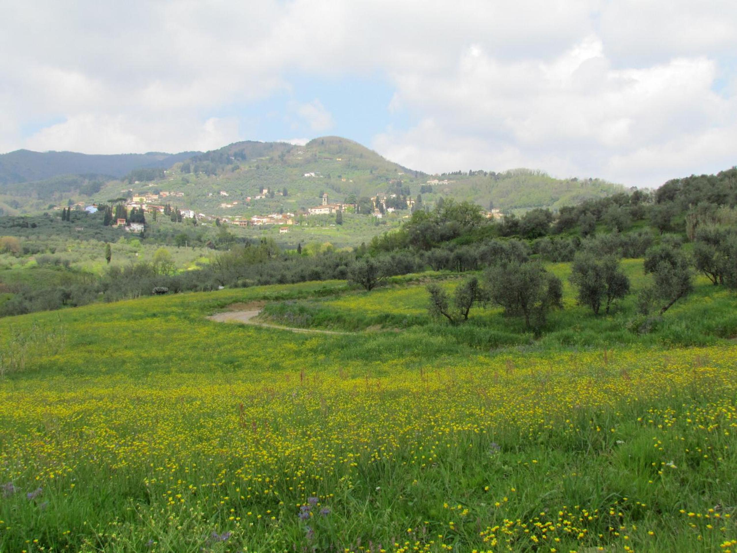 Casa San Gennaro
