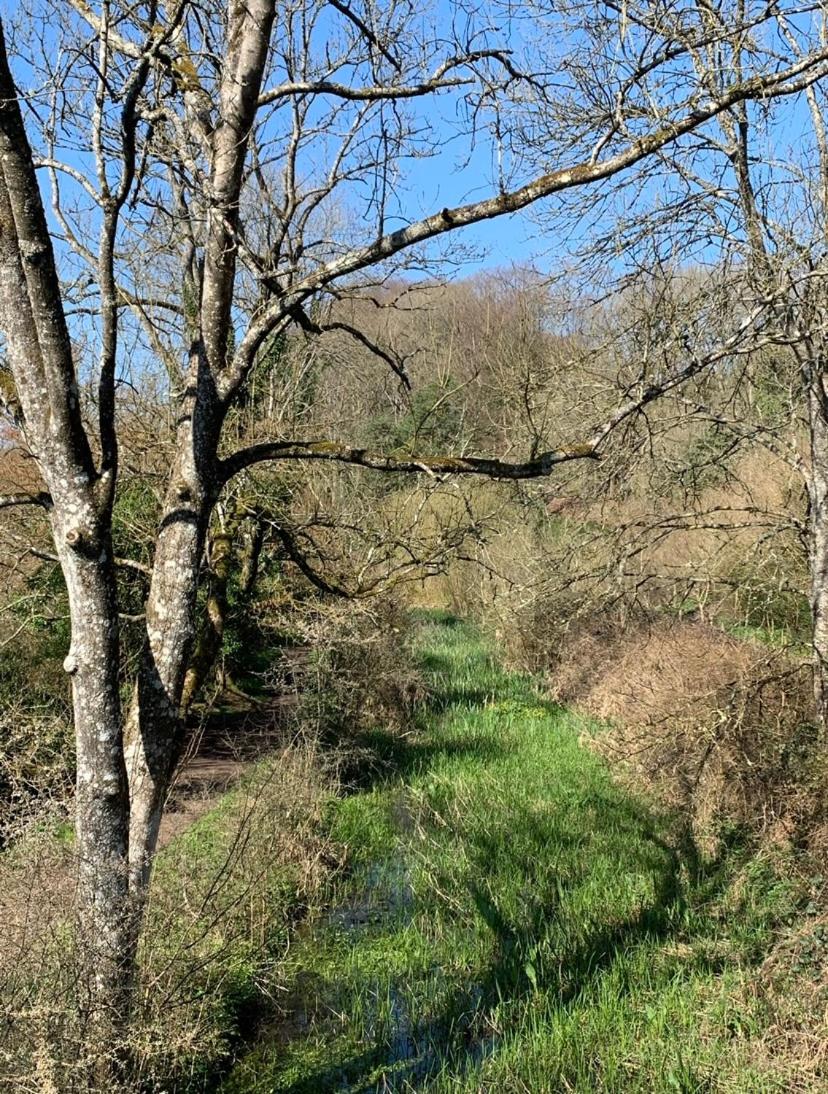 Linden Retreat