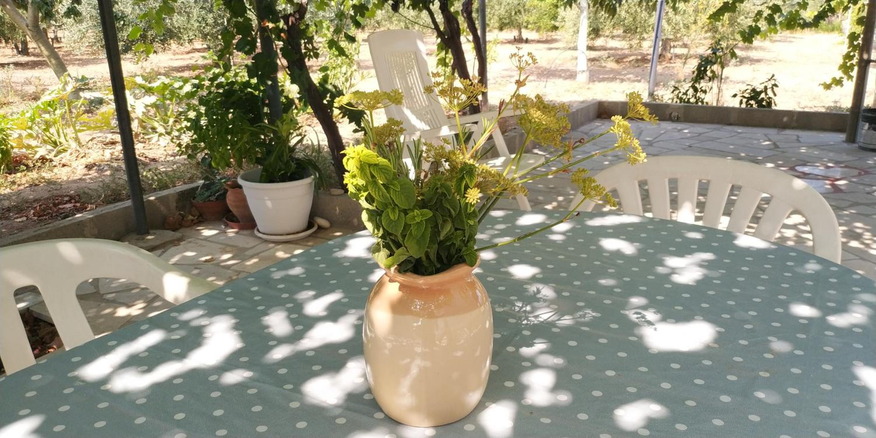 Dependance Villa Grazia view 4