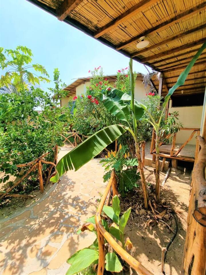 Bright Bungalow 5- Close to ocean view 3